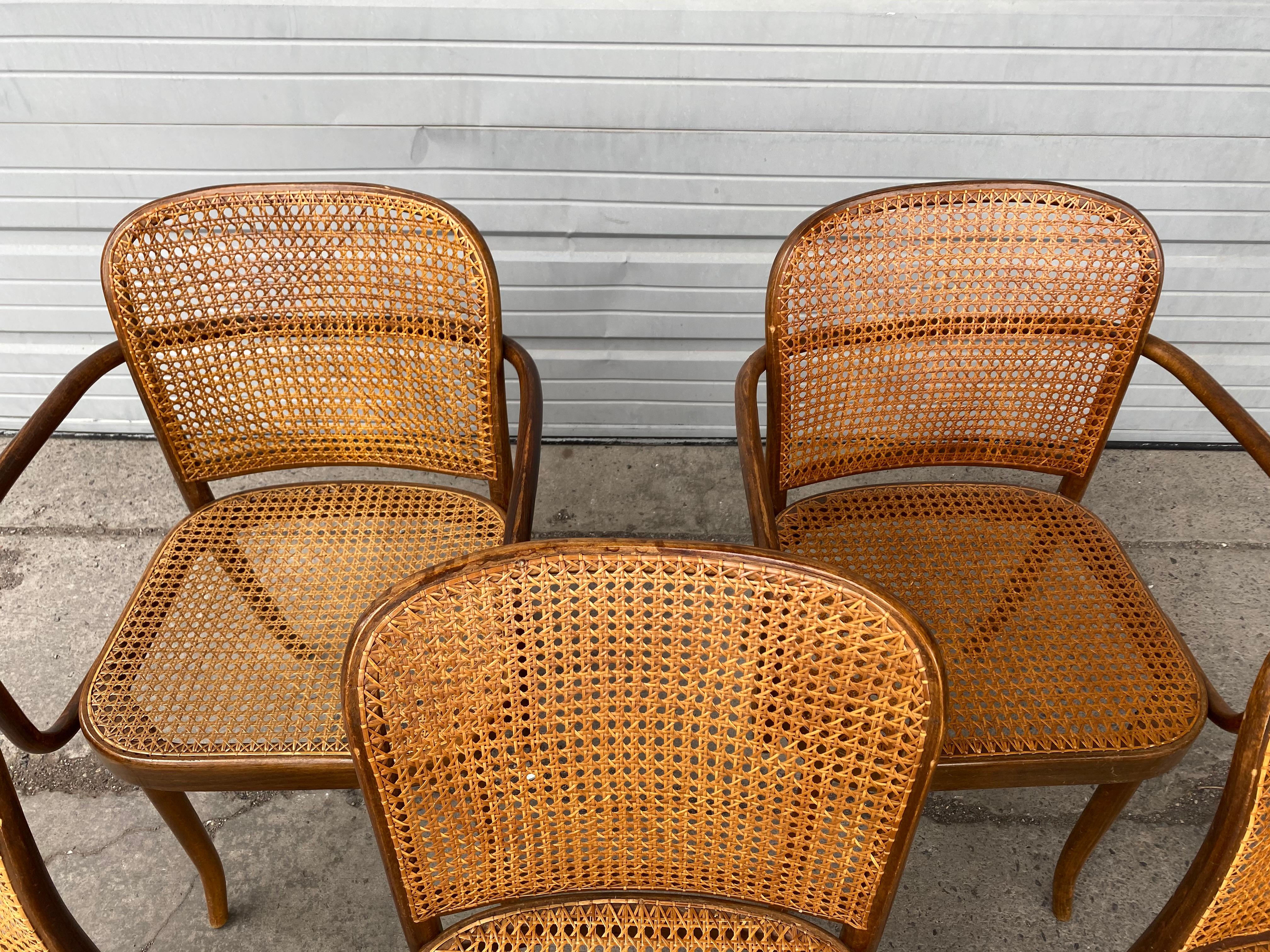 Mid-20th Century Classic Set 6 Bauhaus Wood and Cane Dining Chairs by Josef Hoffmann for Stendig