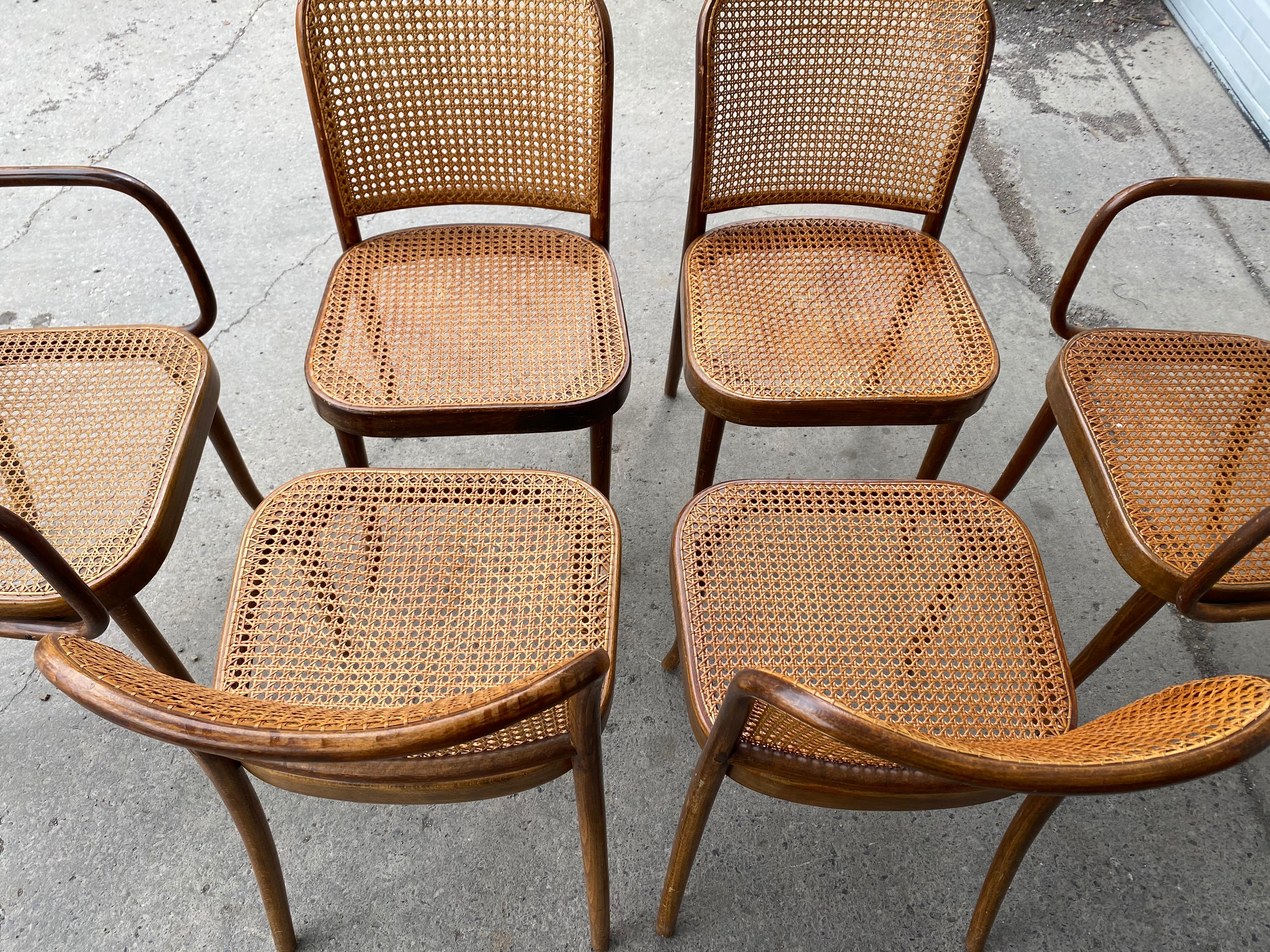 Classic Set 6 Bauhaus Wood and Cane Dining Chairs by Josef Hoffmann for Stendig 1