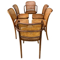 Classic Set 6 Bauhaus Wood and Cane Dining Chairs by Josef Hoffmann for Stendig