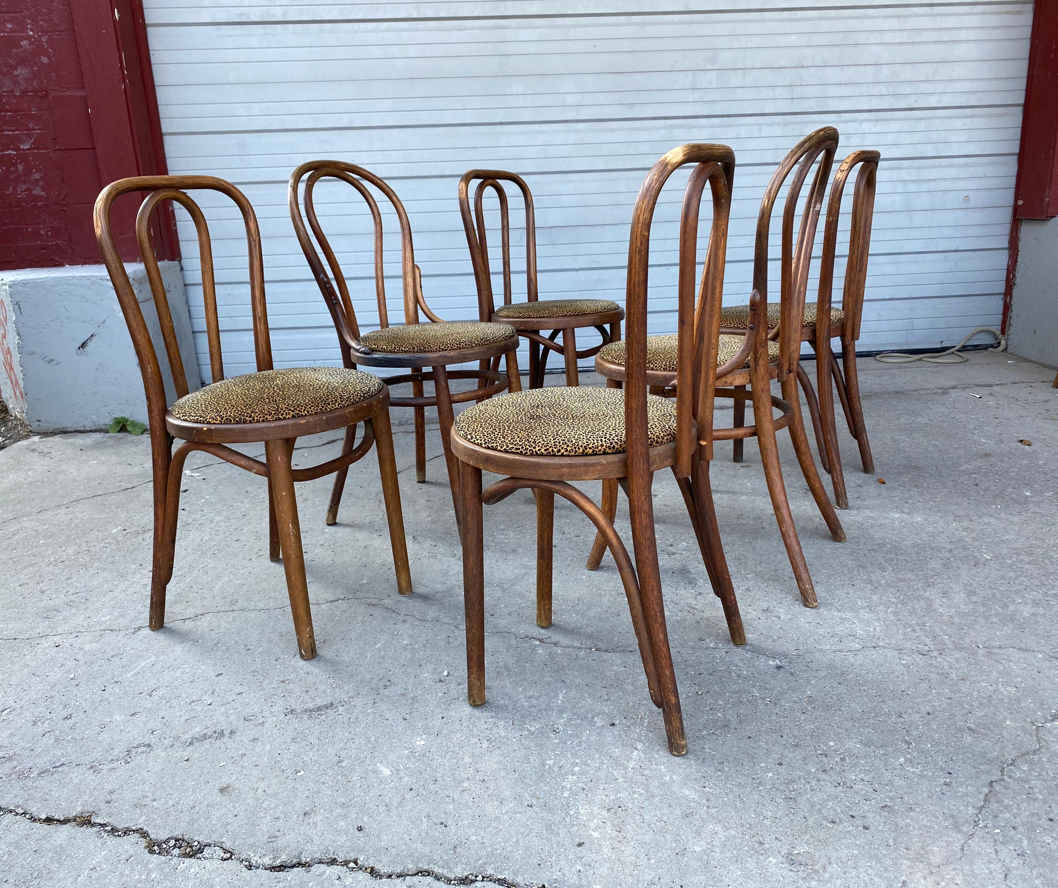 Mid-Century Modern Ensemble classique de 6 chaises de salle à manger en bois courbé, attribuées à Thonet en vente