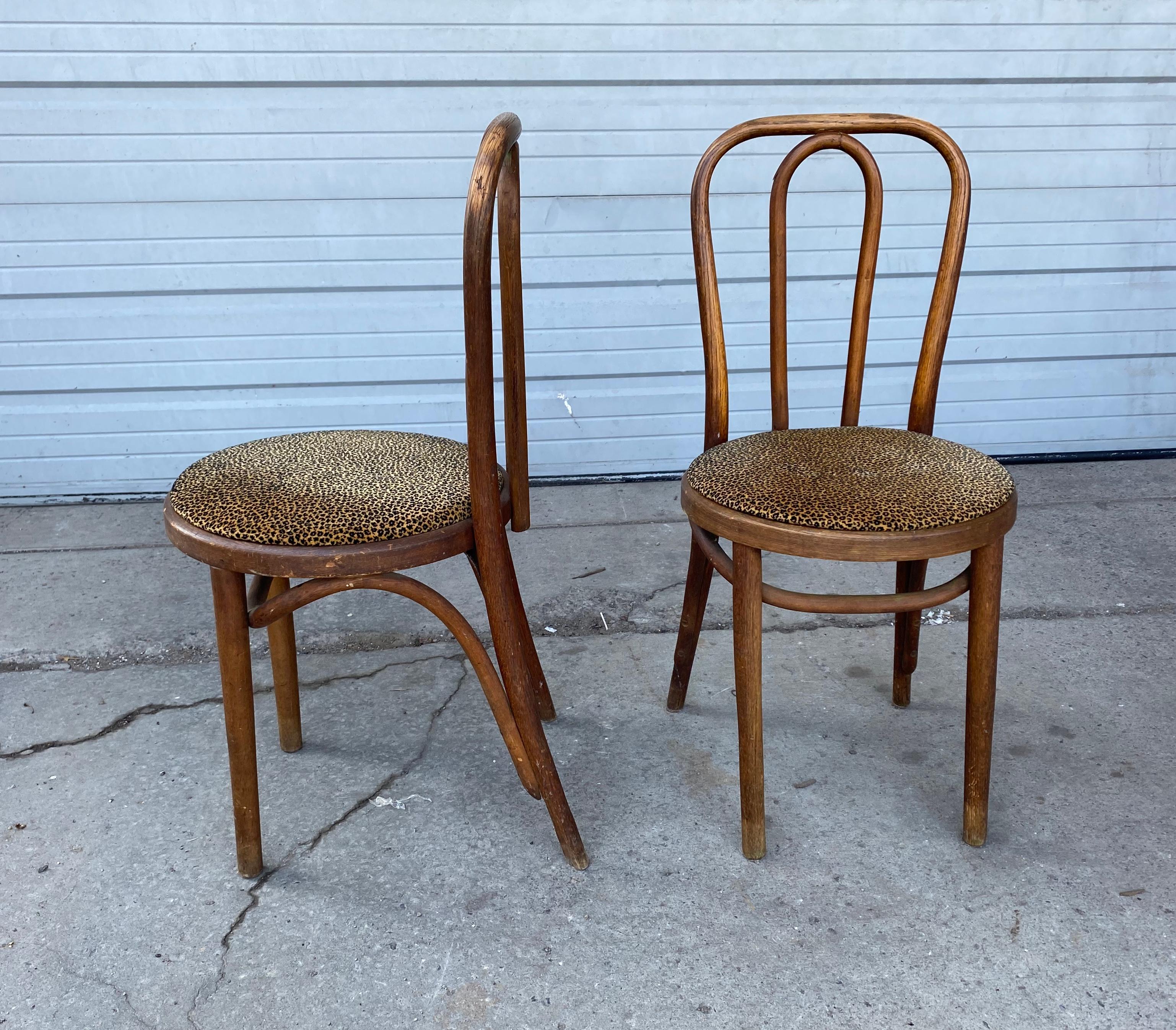 Mid-Century Modern Classic Set of 6 Bentwood Cafe Dining Chairs, Attributed to Thonet For Sale