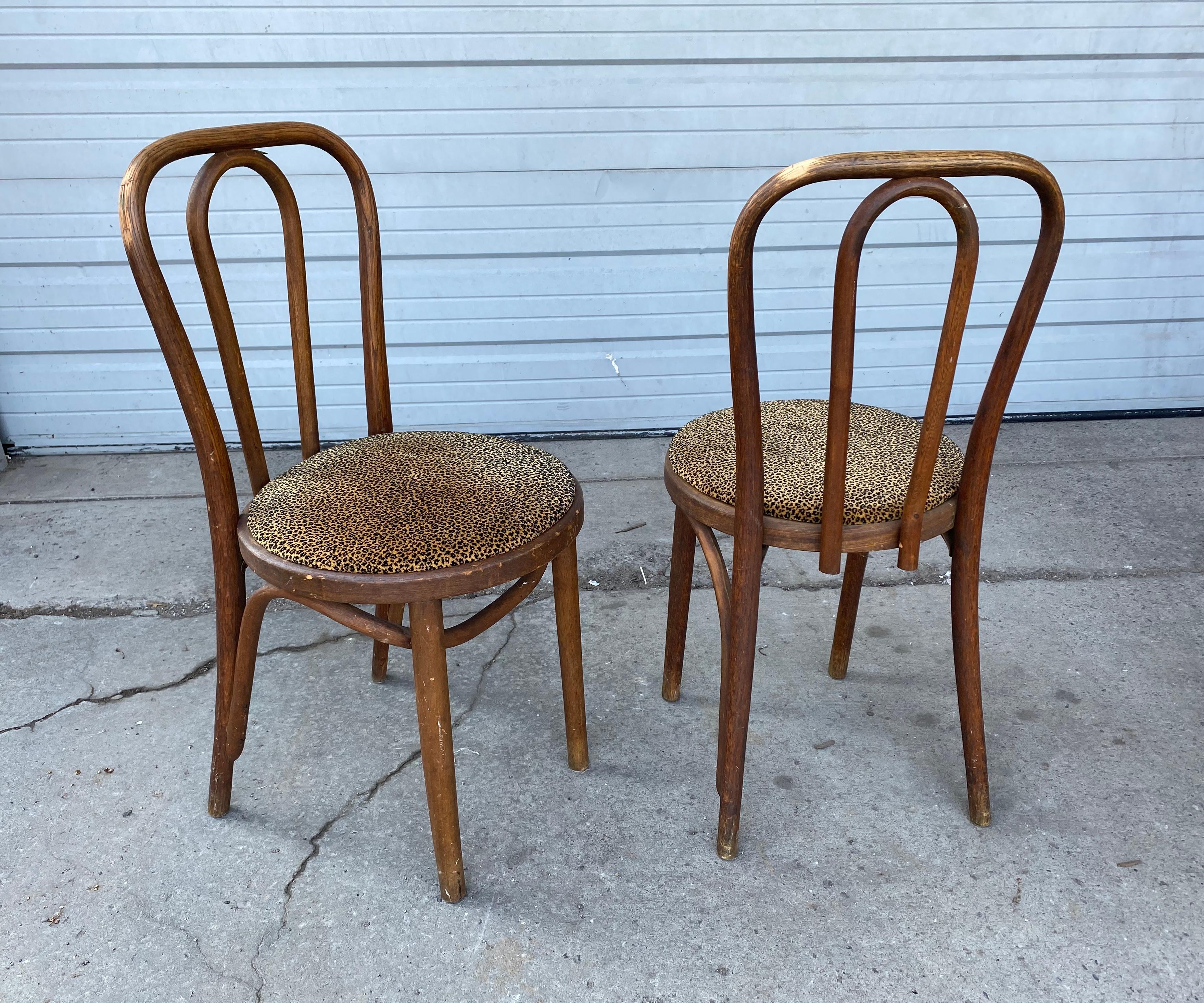 Tissu Ensemble classique de 6 chaises de salle à manger en bois courbé, attribuées à Thonet en vente
