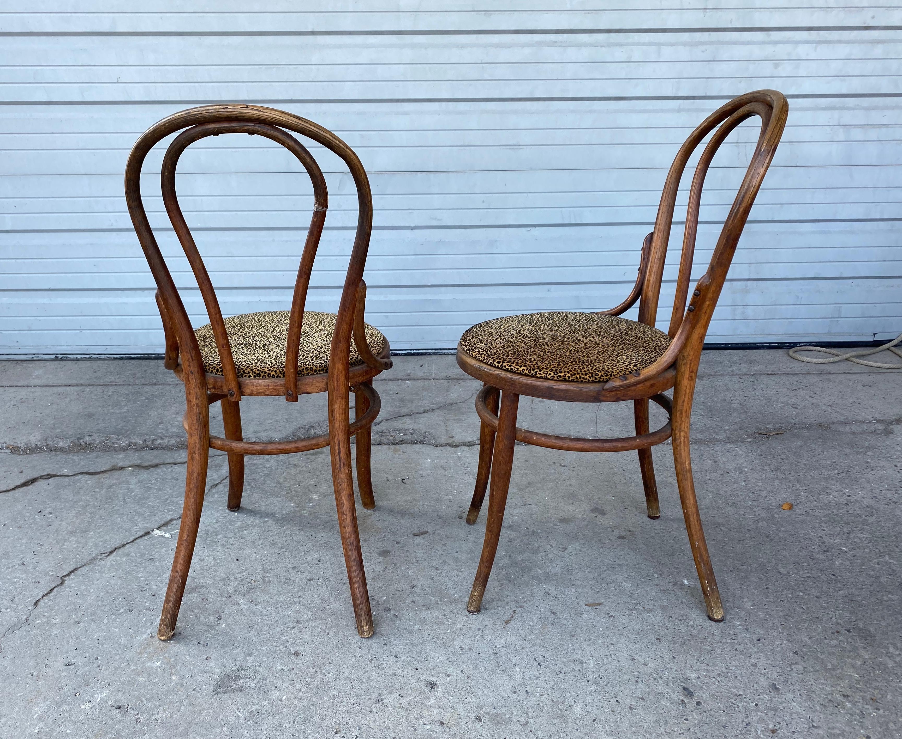 Classic Set of 6 Bentwood Cafe Dining Chairs, Attributed to Thonet In Good Condition For Sale In Buffalo, NY