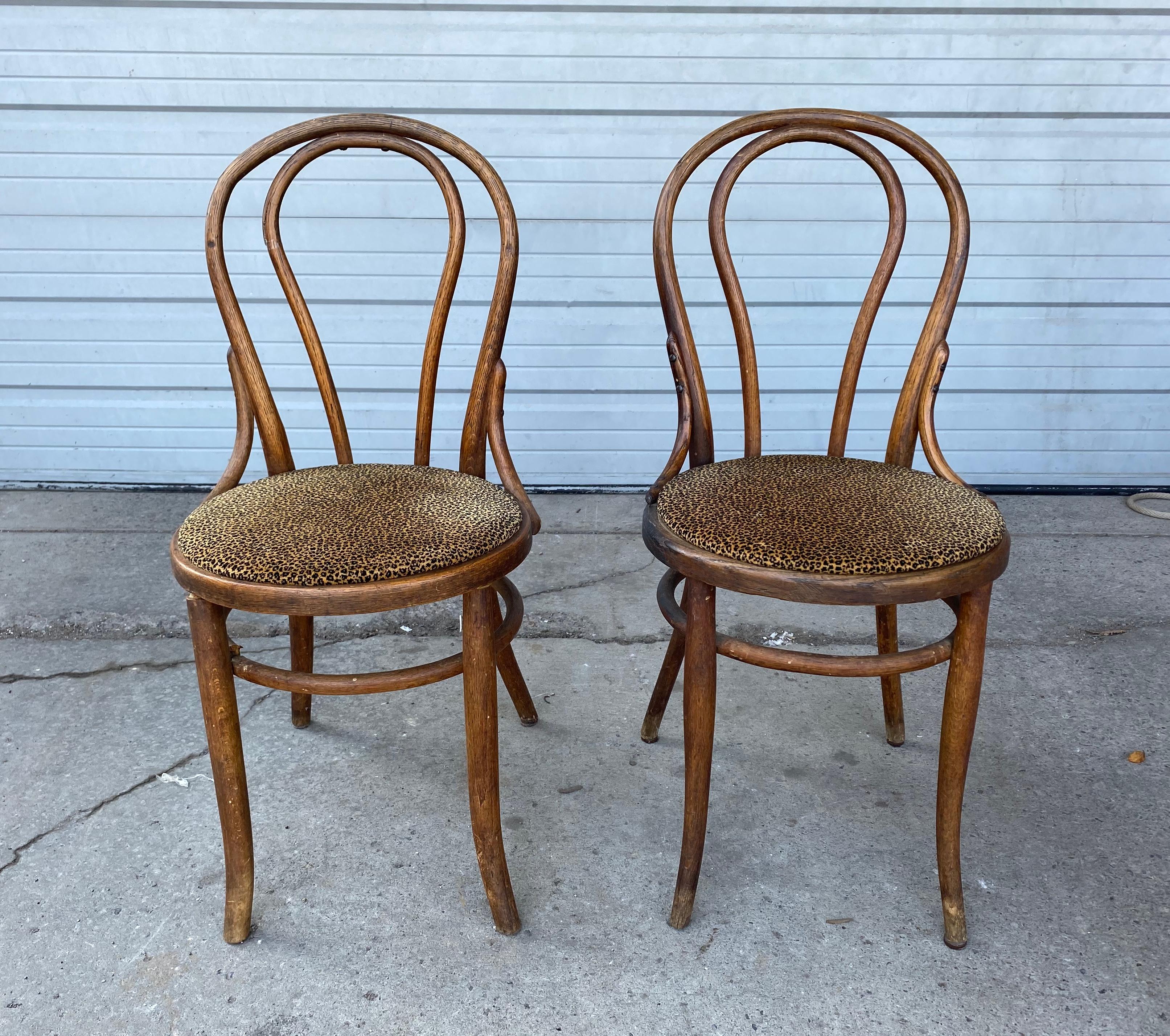 Set classico di 6 sedie da pranzo da bar in legno di Bentwood, attribuito a Thonet in vendita 2