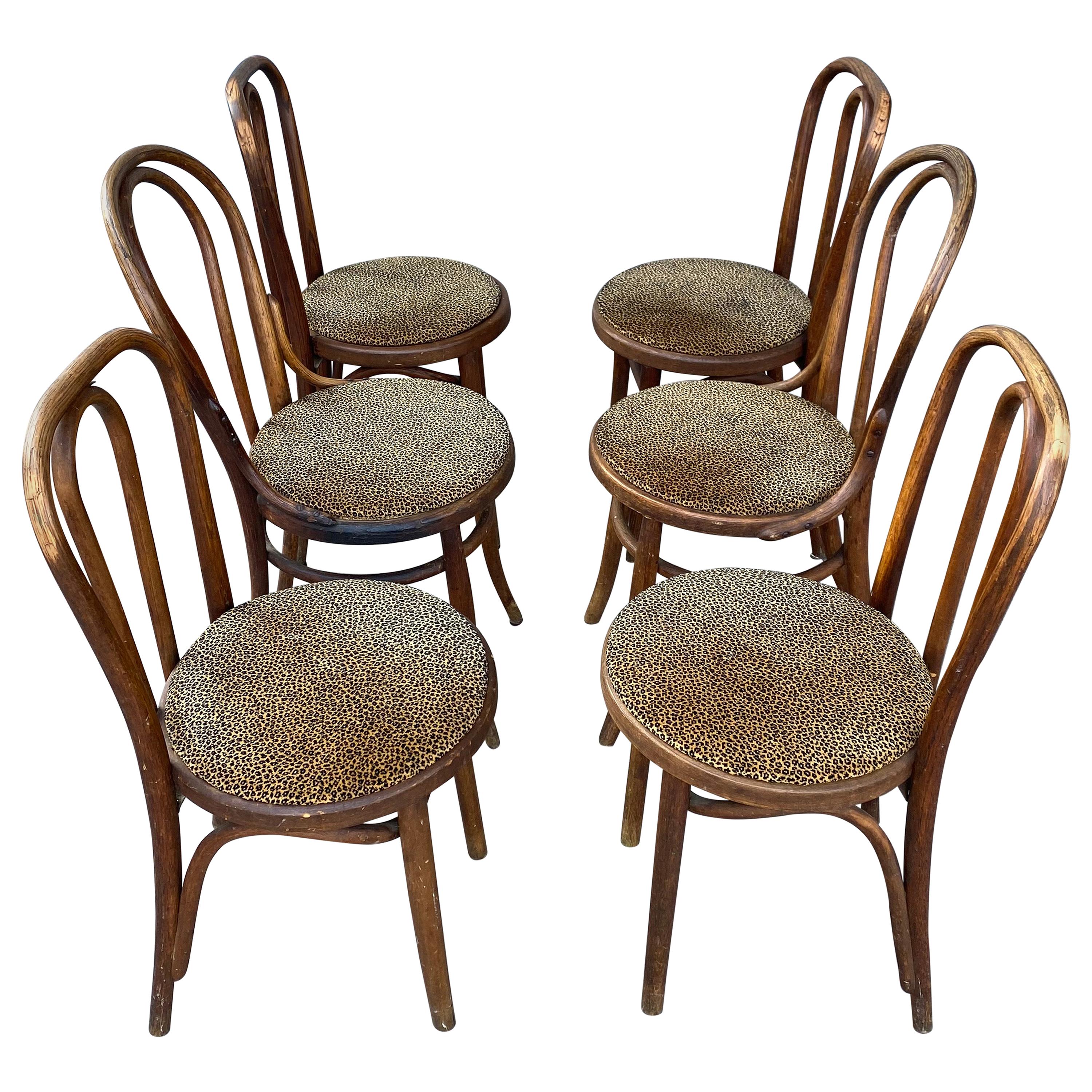 Classic Set of 6 Bentwood Cafe Dining Chairs, Attributed to Thonet