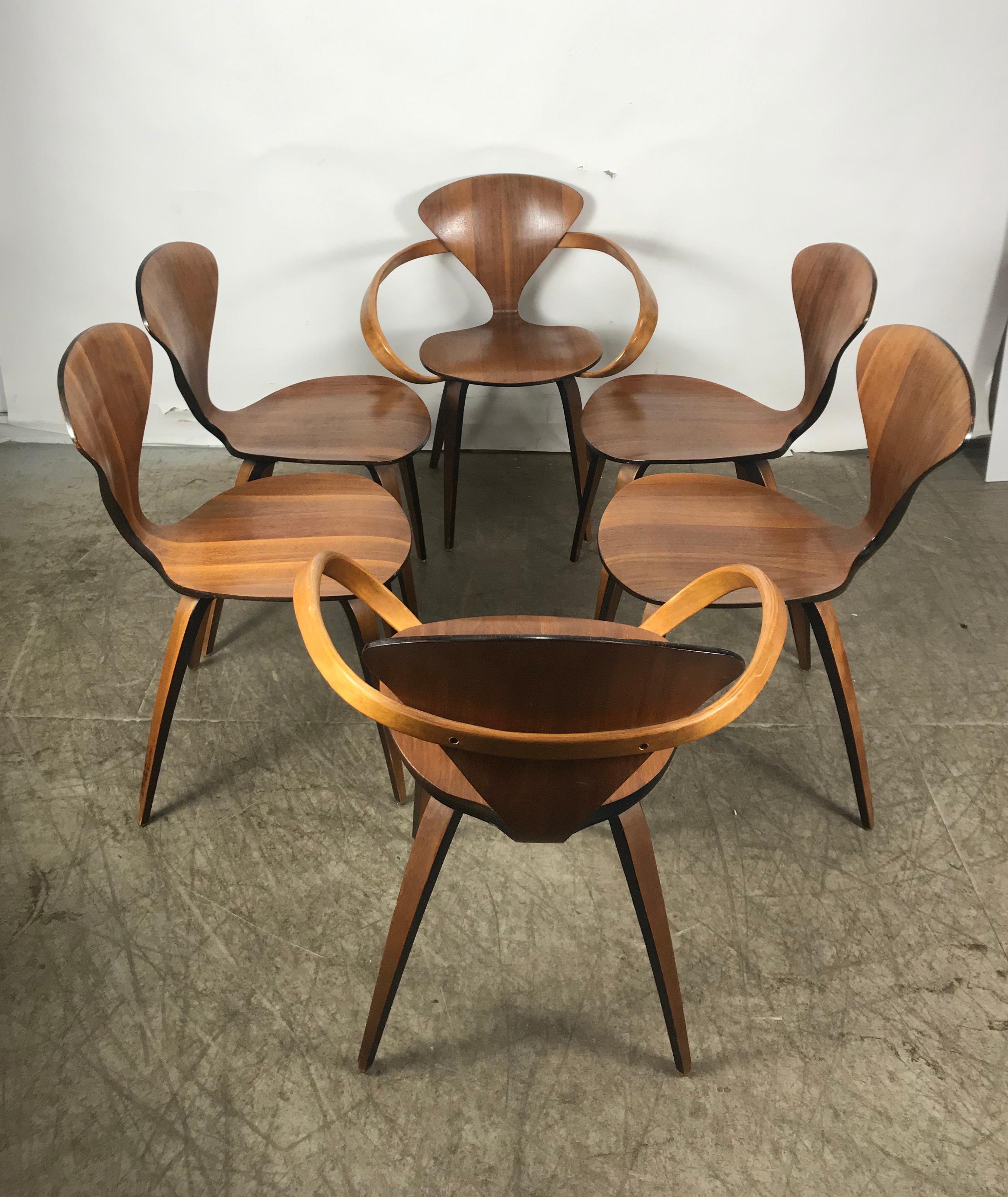 Classic set of six dining chairs designed by Norman Cherner manufactured by Plycraft, Featuring two pretzel captain's chairs and 4 side chairs. Atrue set! The six chairs have lived together since they were purchased in the late 1950s. Amazing