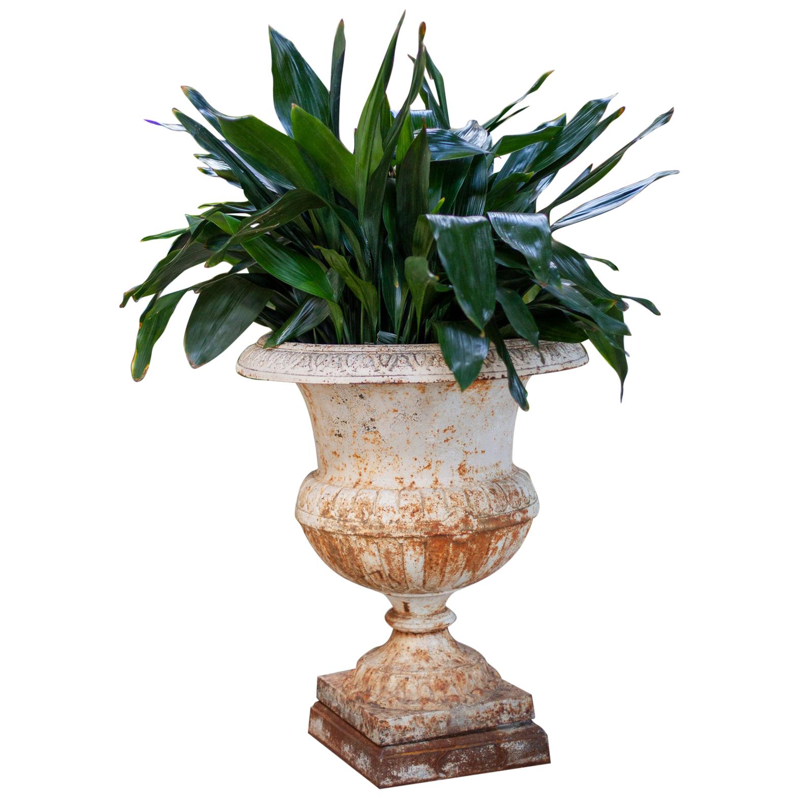 Classic White Garden Iron Urn For Sale