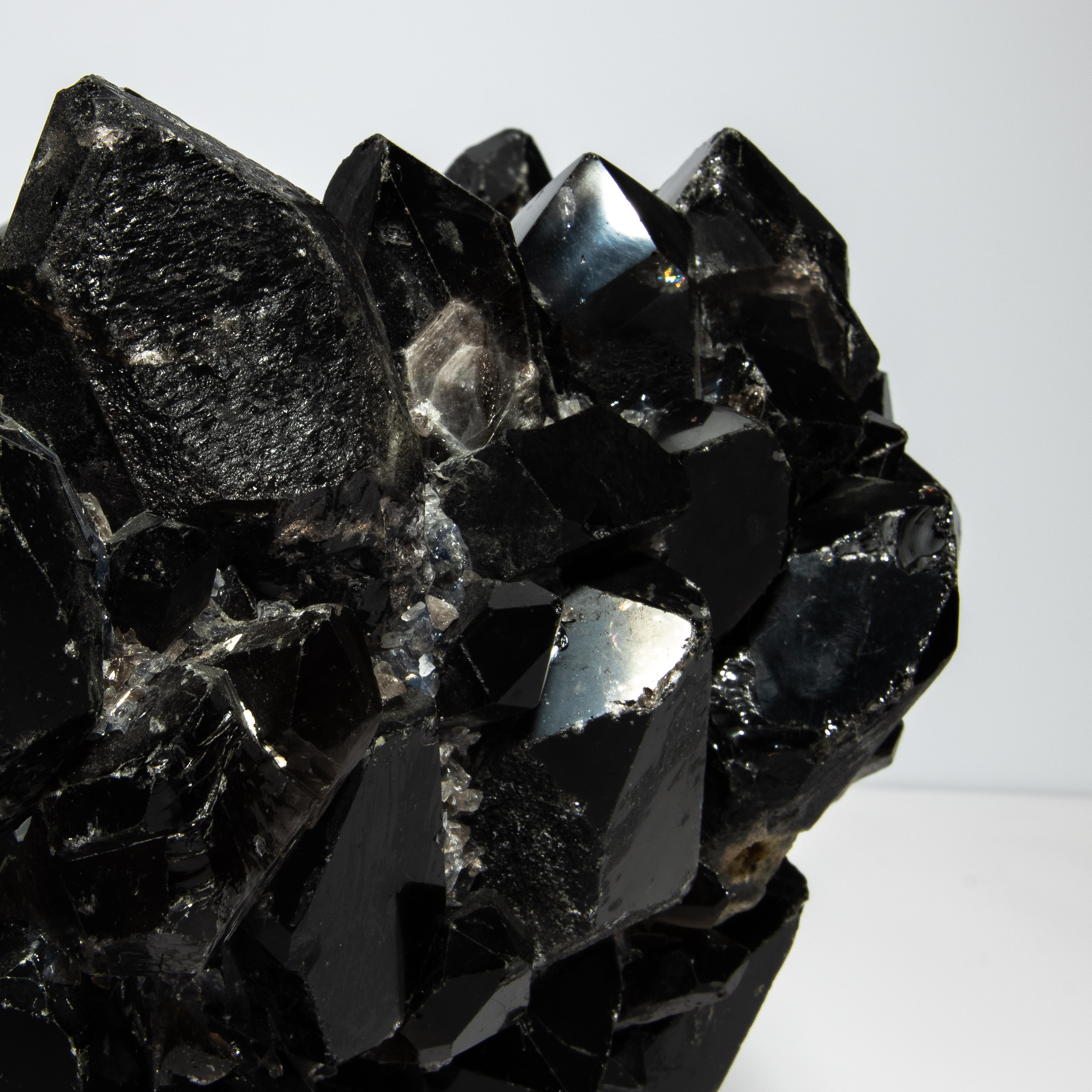 Classic XL Bowl in Black Quartz 2