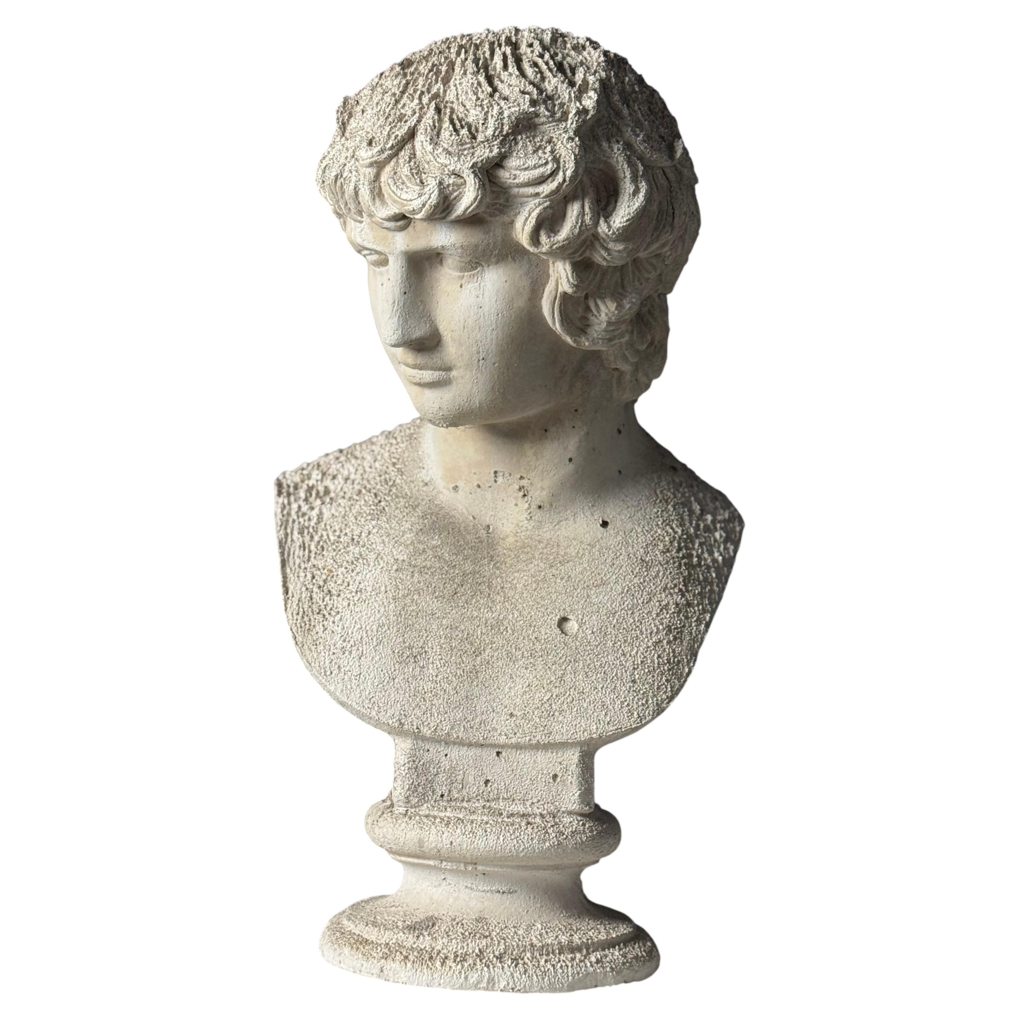 Classical bust of Antinous For Sale