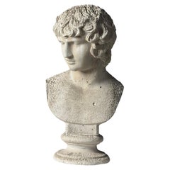 Classical bust of Antinous