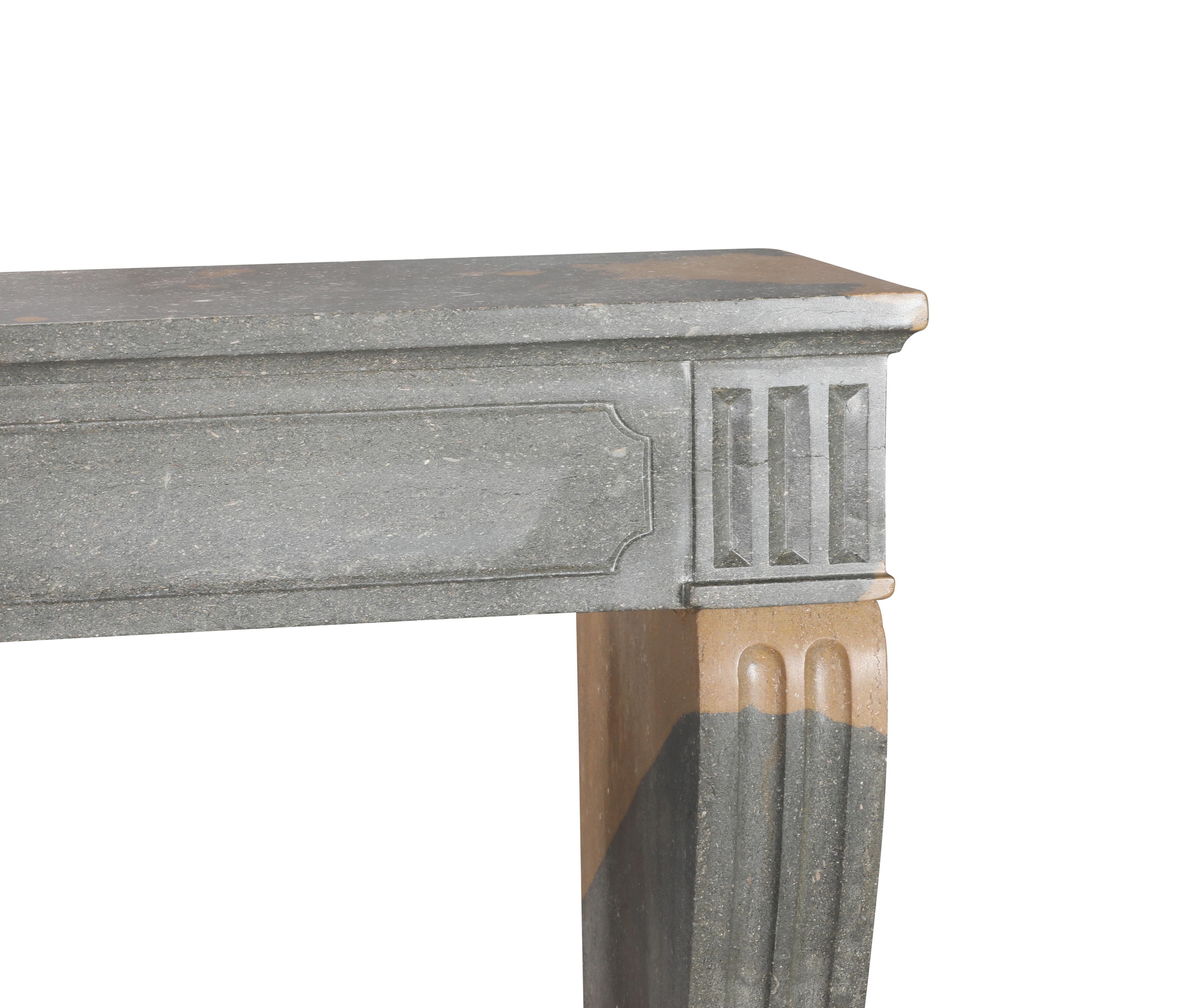 18th Century and Earlier Classical French Antique Fireplace Mantel in Grey-Green Stone With Warm Accents For Sale