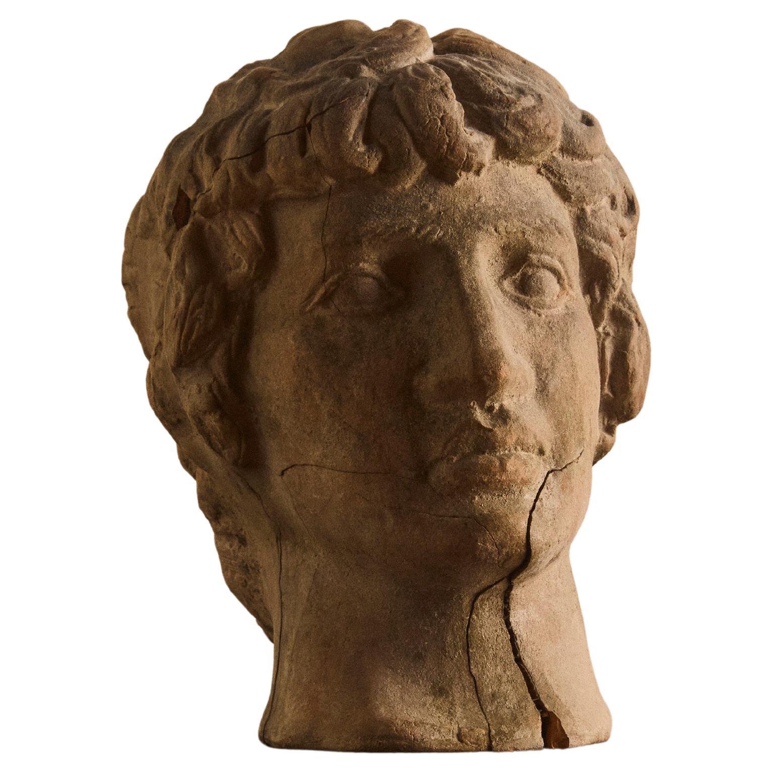 Classical Greek/Roman Terra Cotta Bust