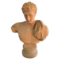 Classical Greek Terracotta Bust, Italy, 1950s
