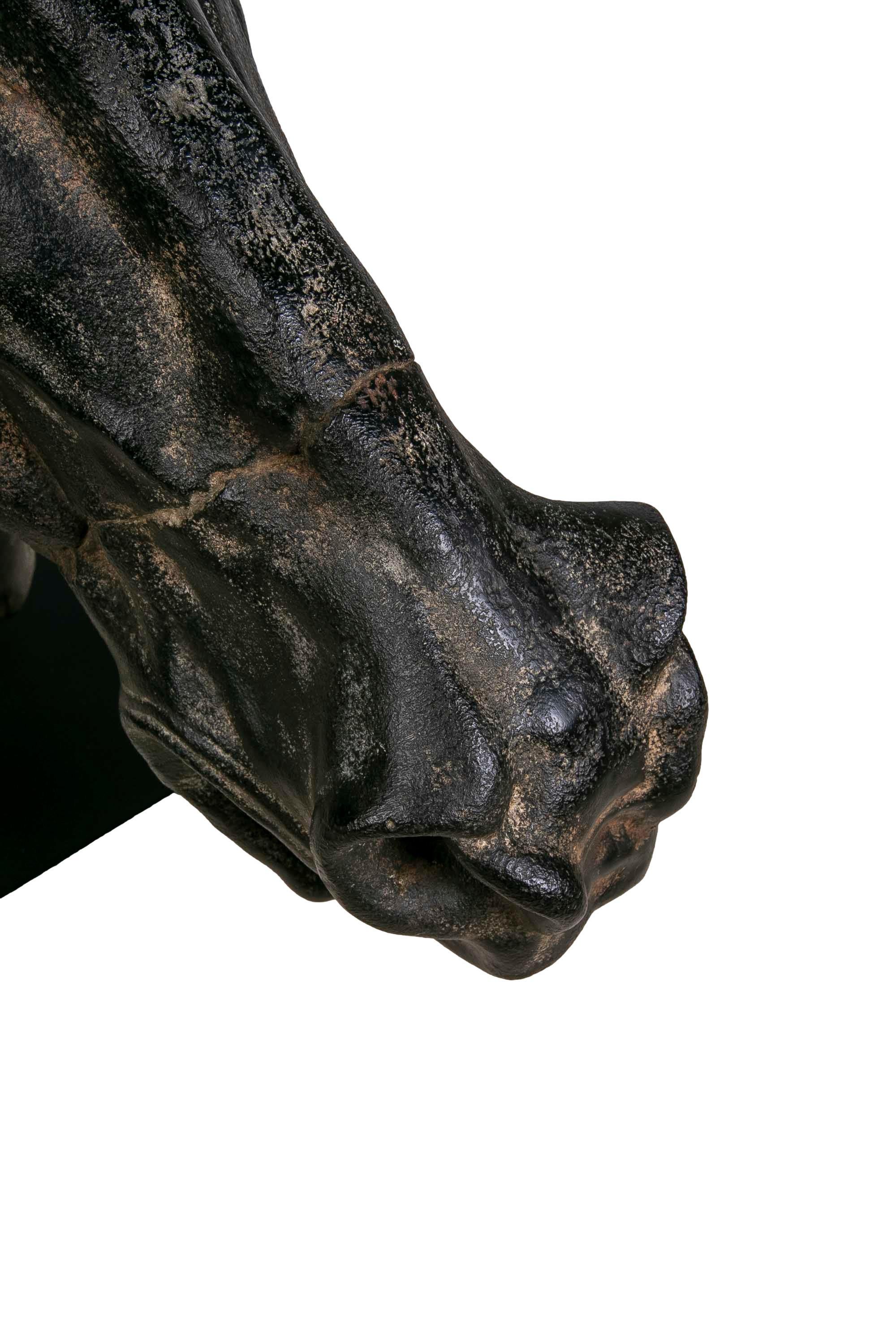 Classical Horse Bust in Resin Imitating Marble on Iron Pedestal 10