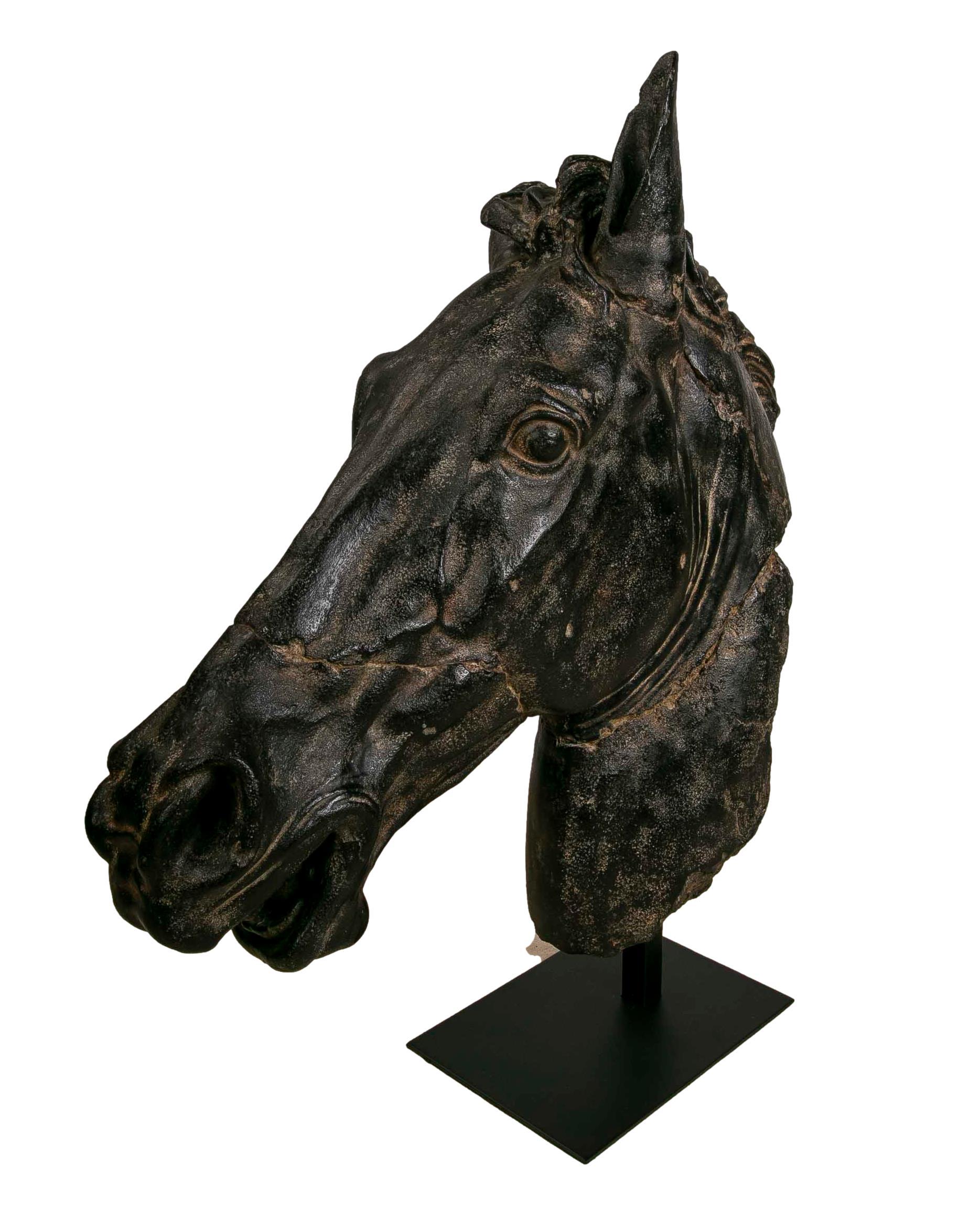 Classical Horse Bust in Resin Imitating Marble on Iron Pedestal 11