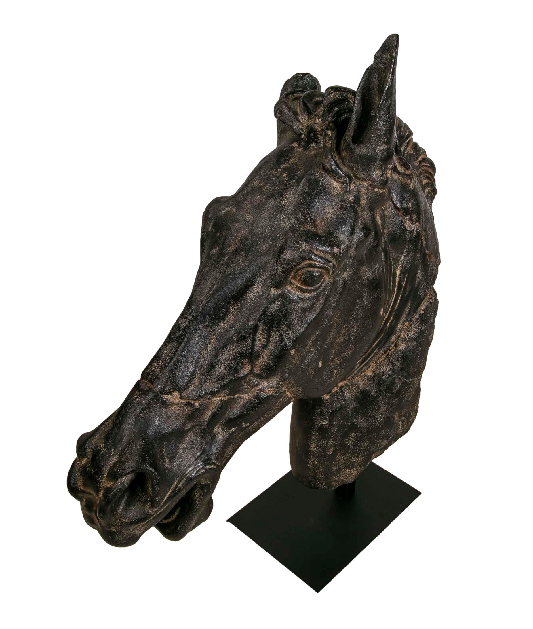 Classical Horse bust in Resin Imitating marble on iron pedestal.