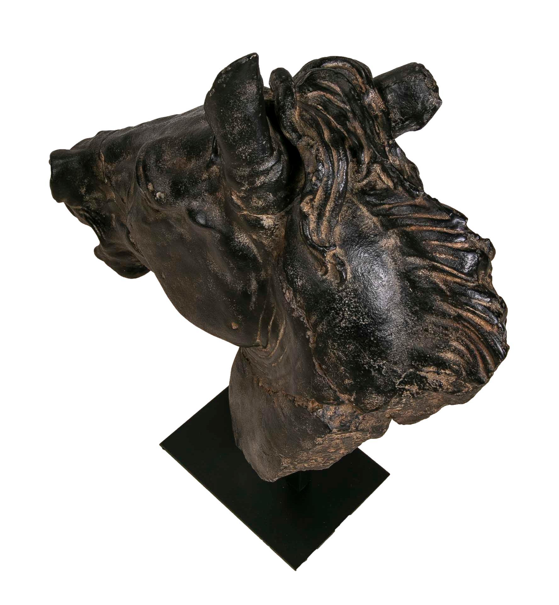 Classical Horse Bust in Resin Imitating Marble on Iron Pedestal 3
