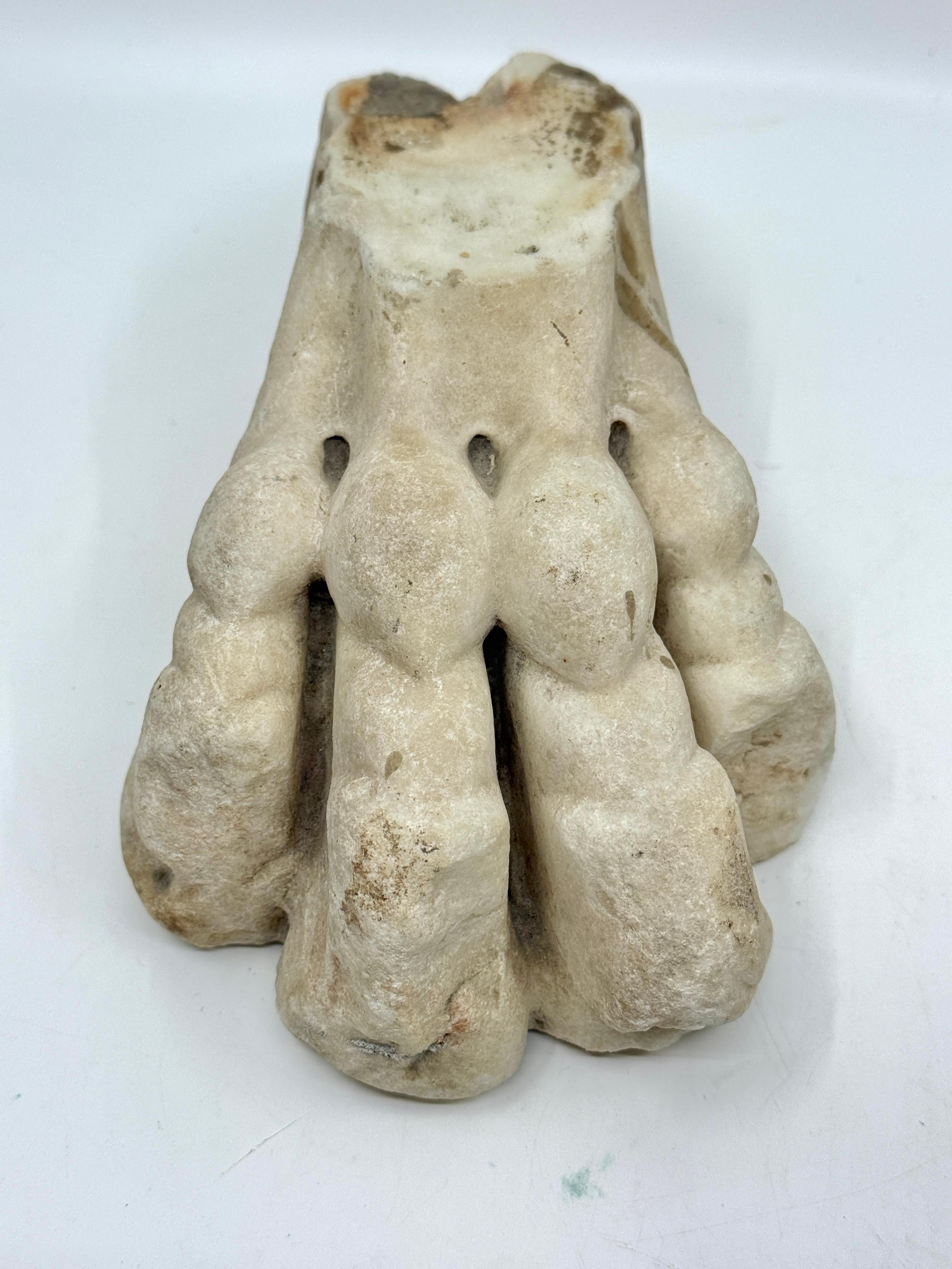 Classical Marble Stone Fragment Lions Claw in vendita 3