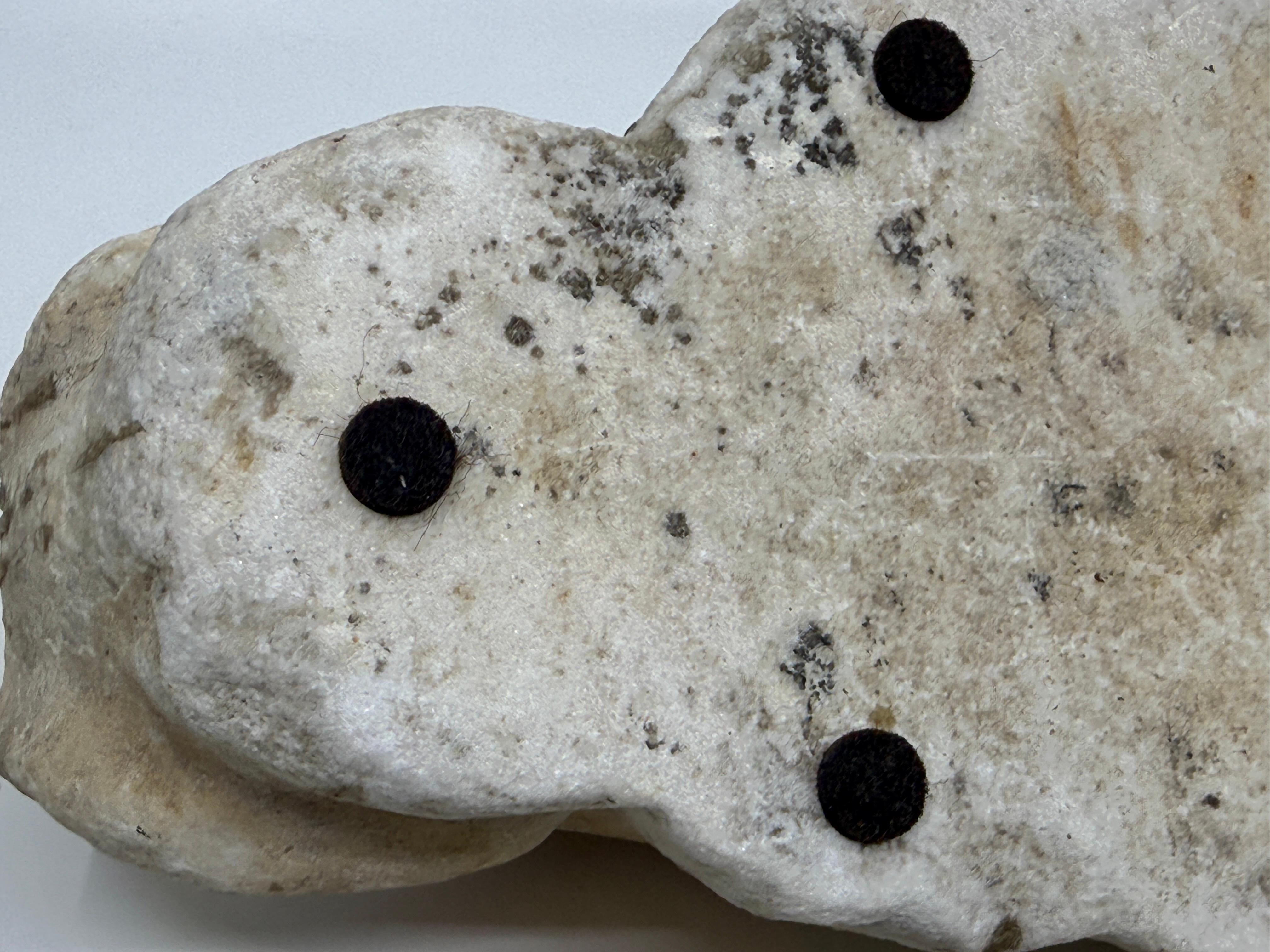 Classical Marble Stone Fragment Lions Claw in vendita 5