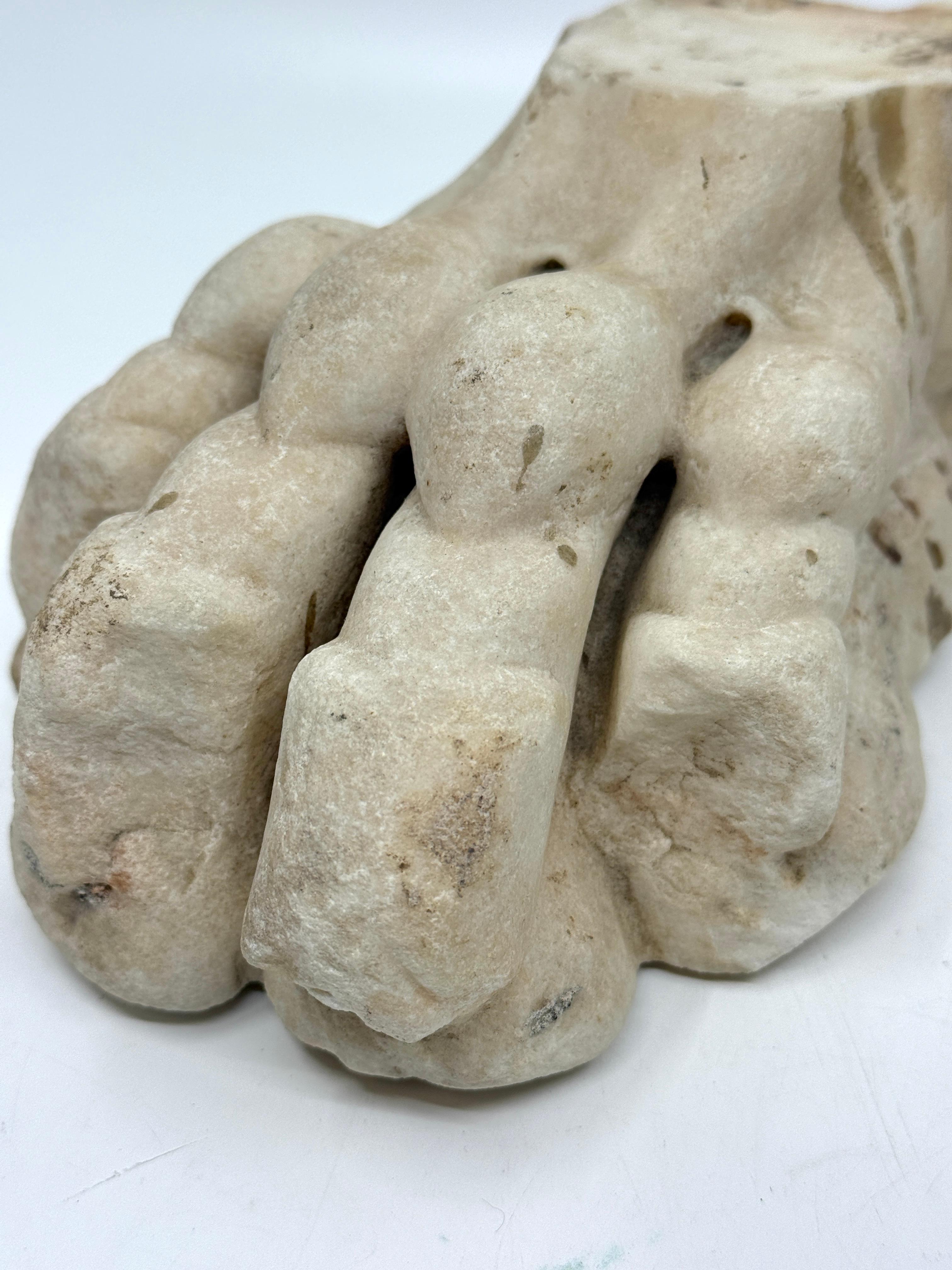 Classical Marble Stone Fragment Lions Claw in vendita 7