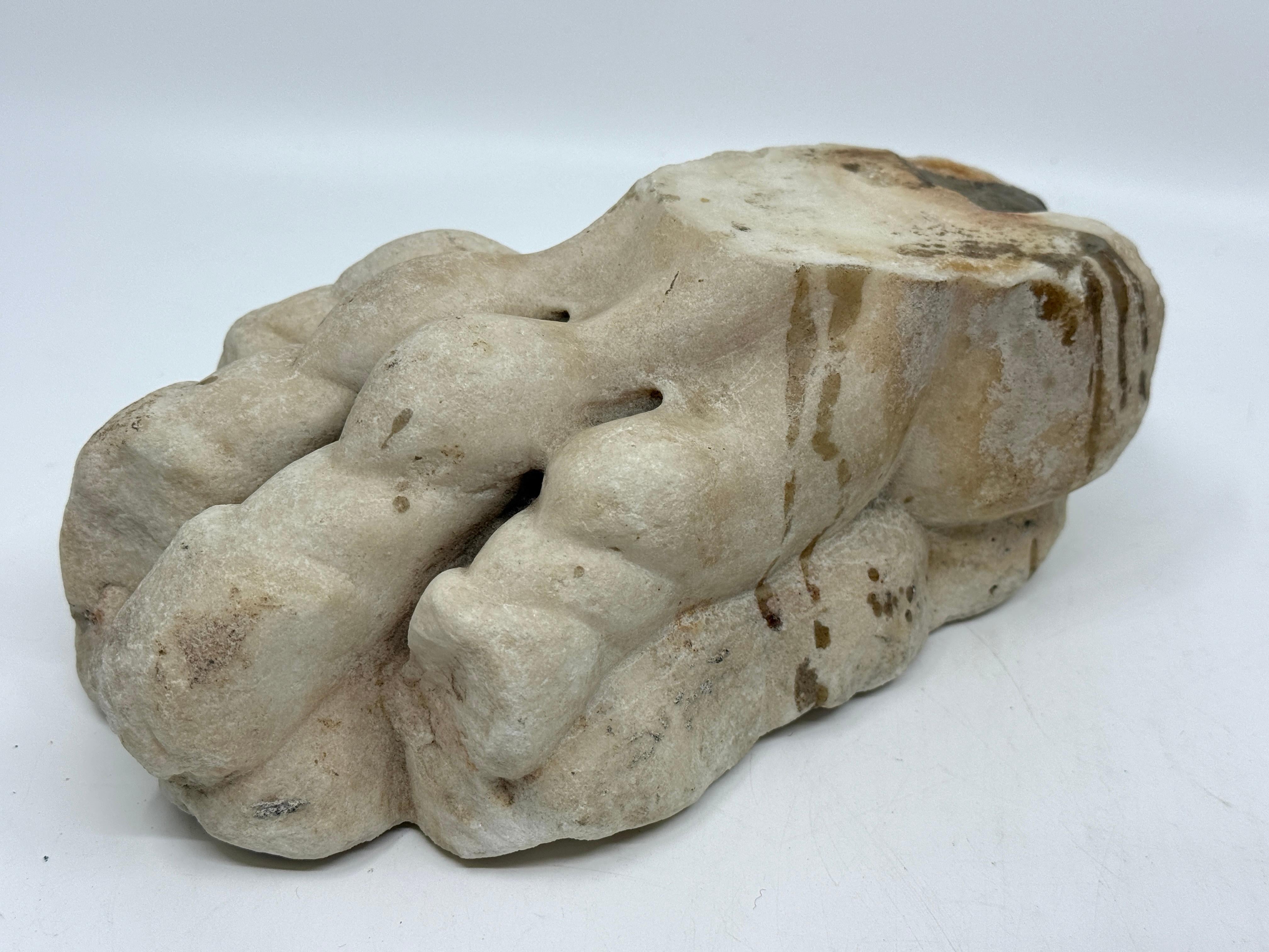 Classical Marble Stone Fragment Lions Claw in vendita 8
