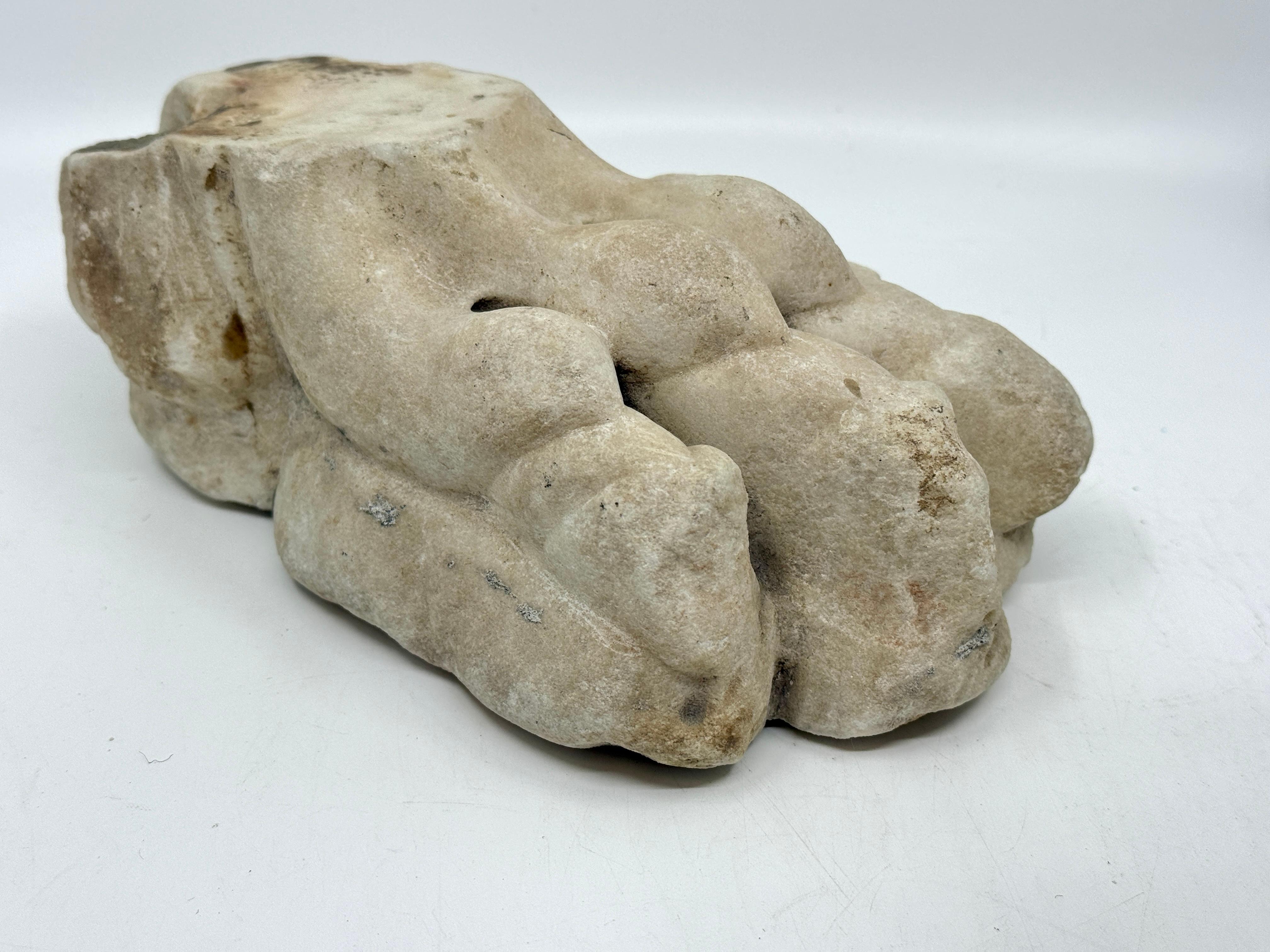 Classical Marble Stone Fragment Lions Claw in vendita 9