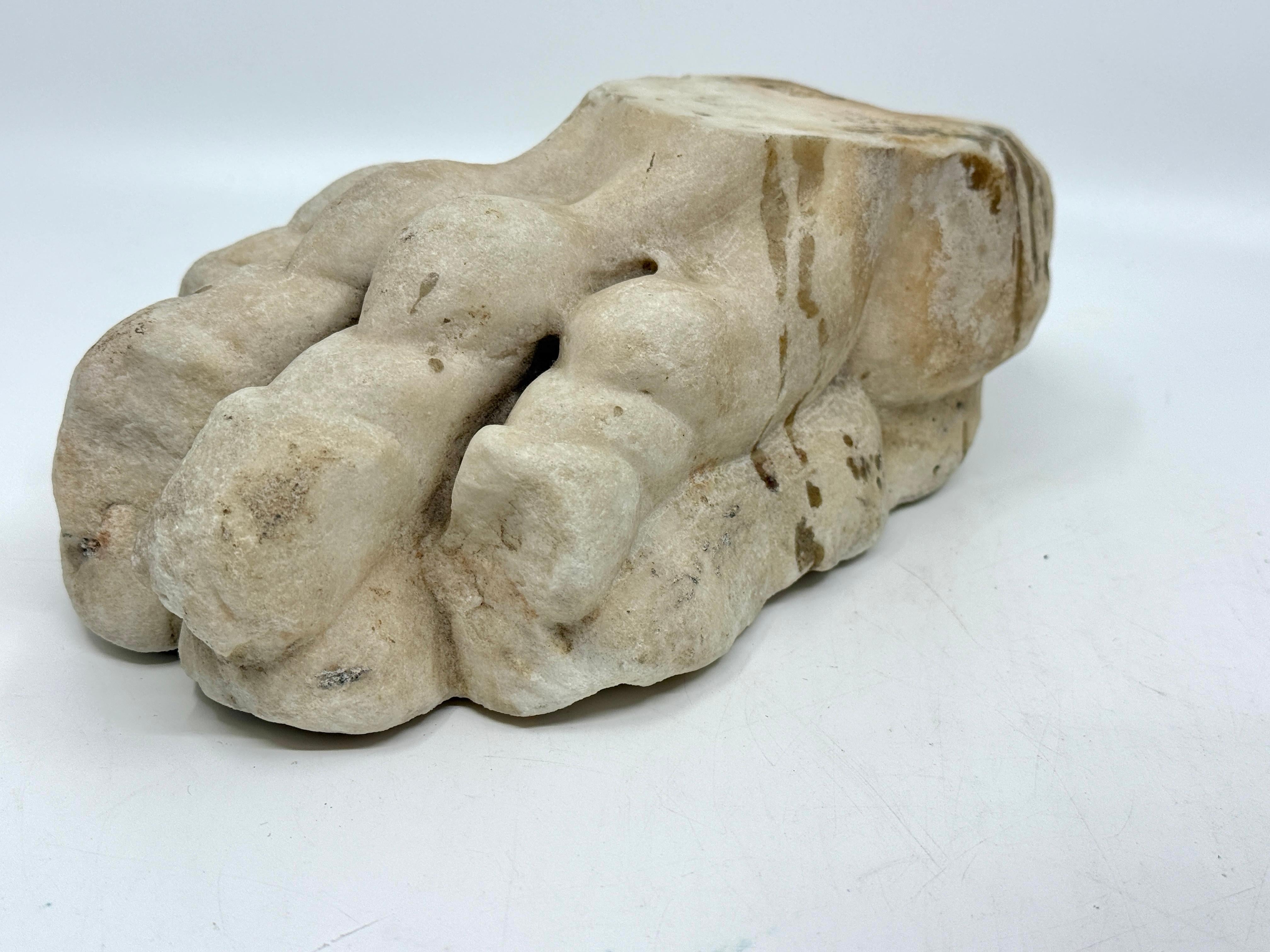 Possibly classical or later, carved stone fragment in the form of a stylized lion’s paw or foliate terminal, likely from a column base, furniture mount, or architectural element. Pale limestone with traces of age and weathering.
Provenance: The Most