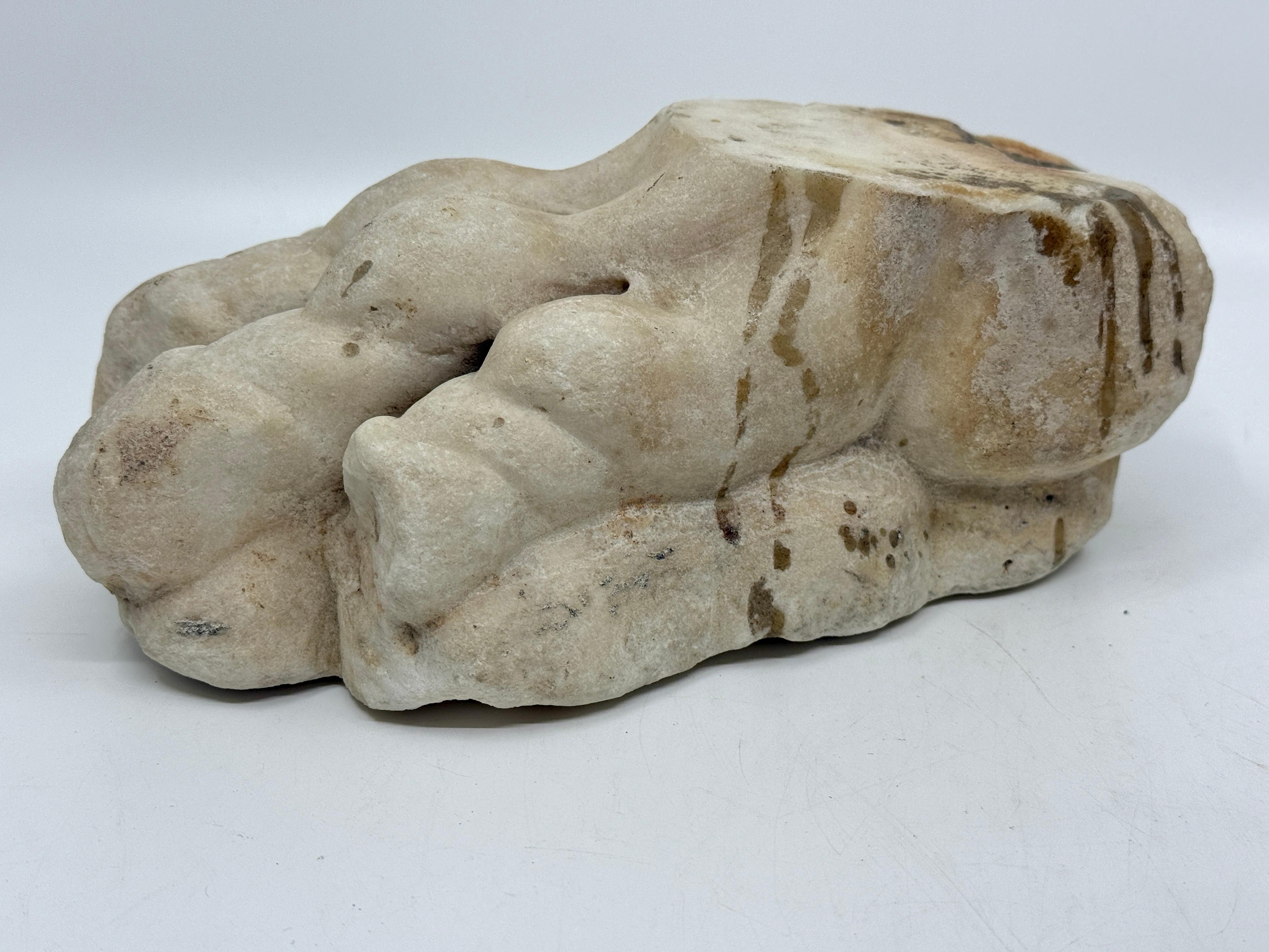 Italiano Classical Marble Stone Fragment Lions Claw in vendita
