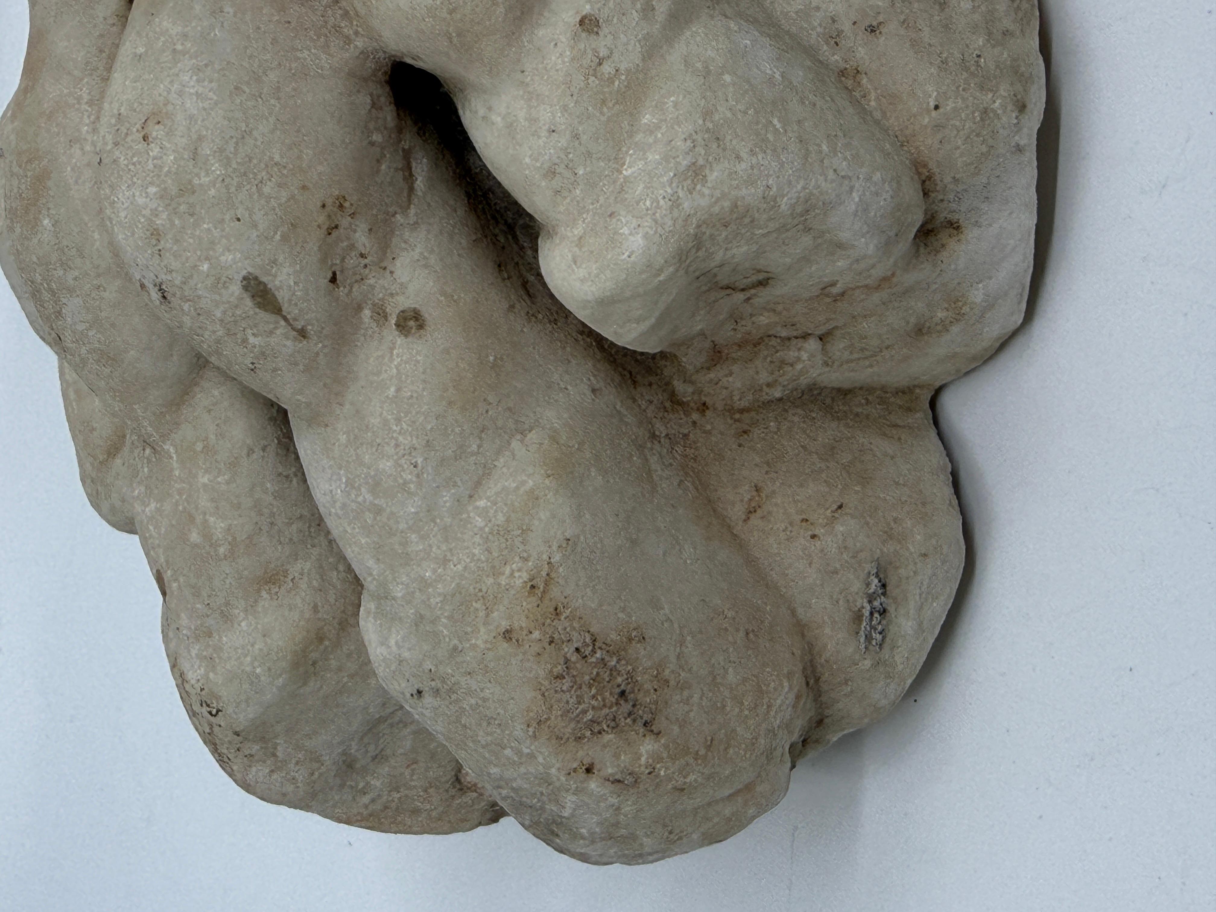 Intagliato a mano Classical Marble Stone Fragment Lions Claw in vendita