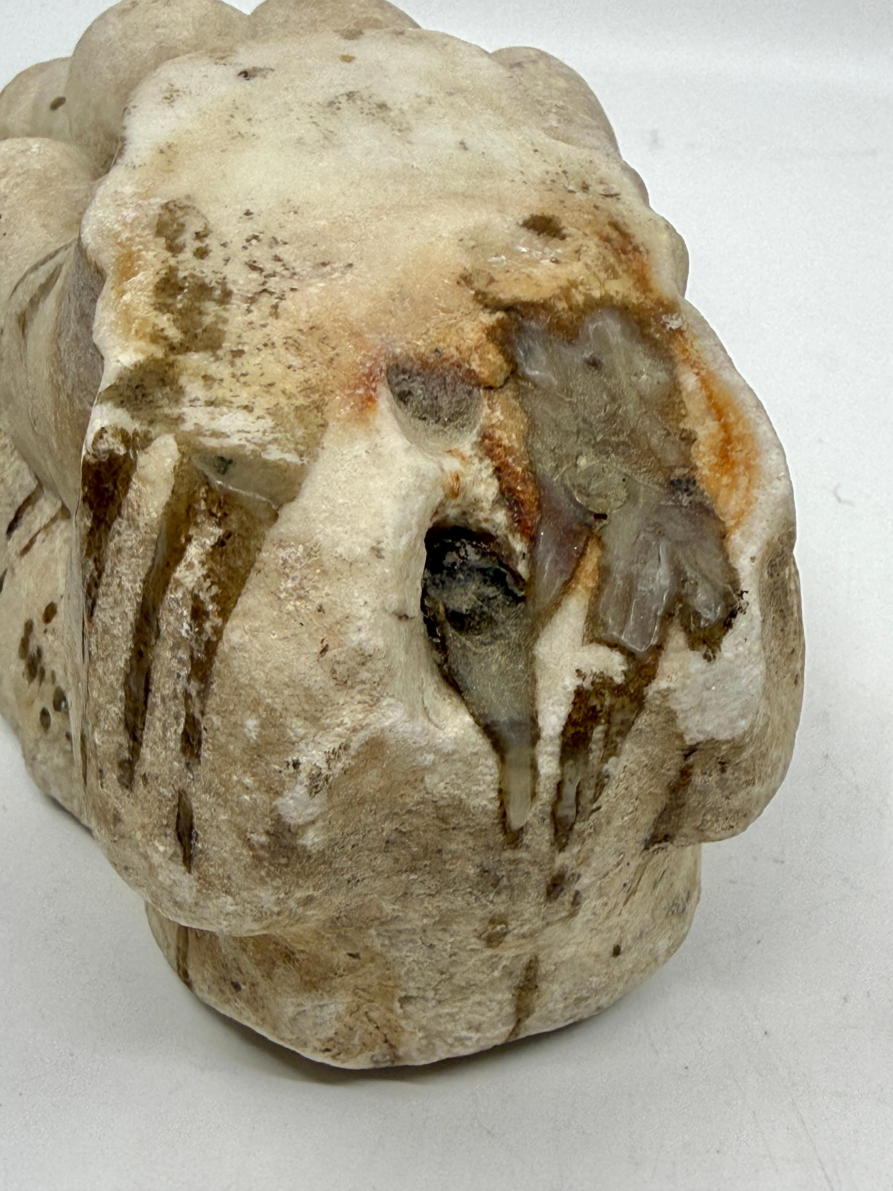 Fino al XVIII secolo Classical Marble Stone Fragment Lions Claw in vendita