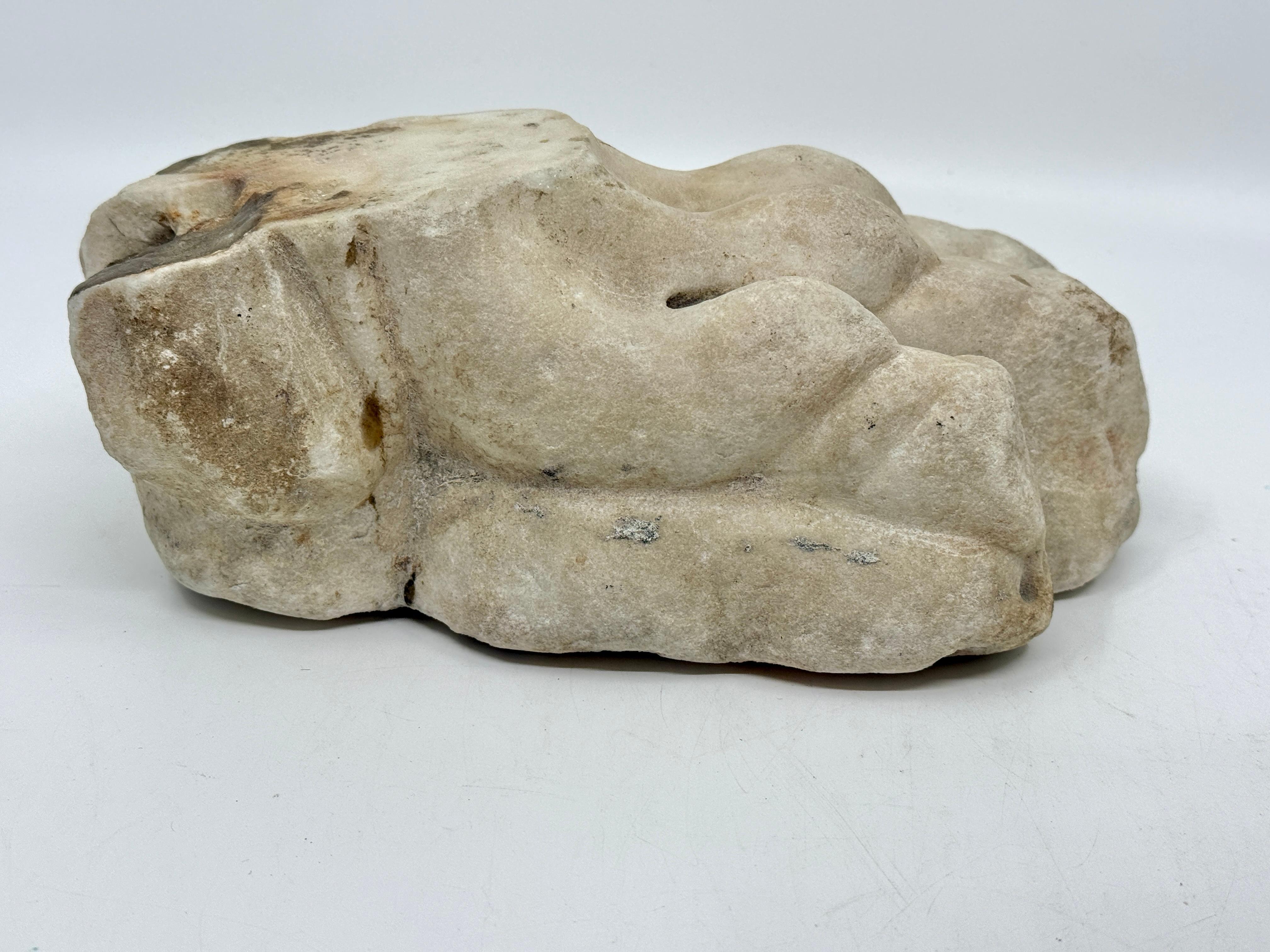 Calcare Classical Marble Stone Fragment Lions Claw in vendita