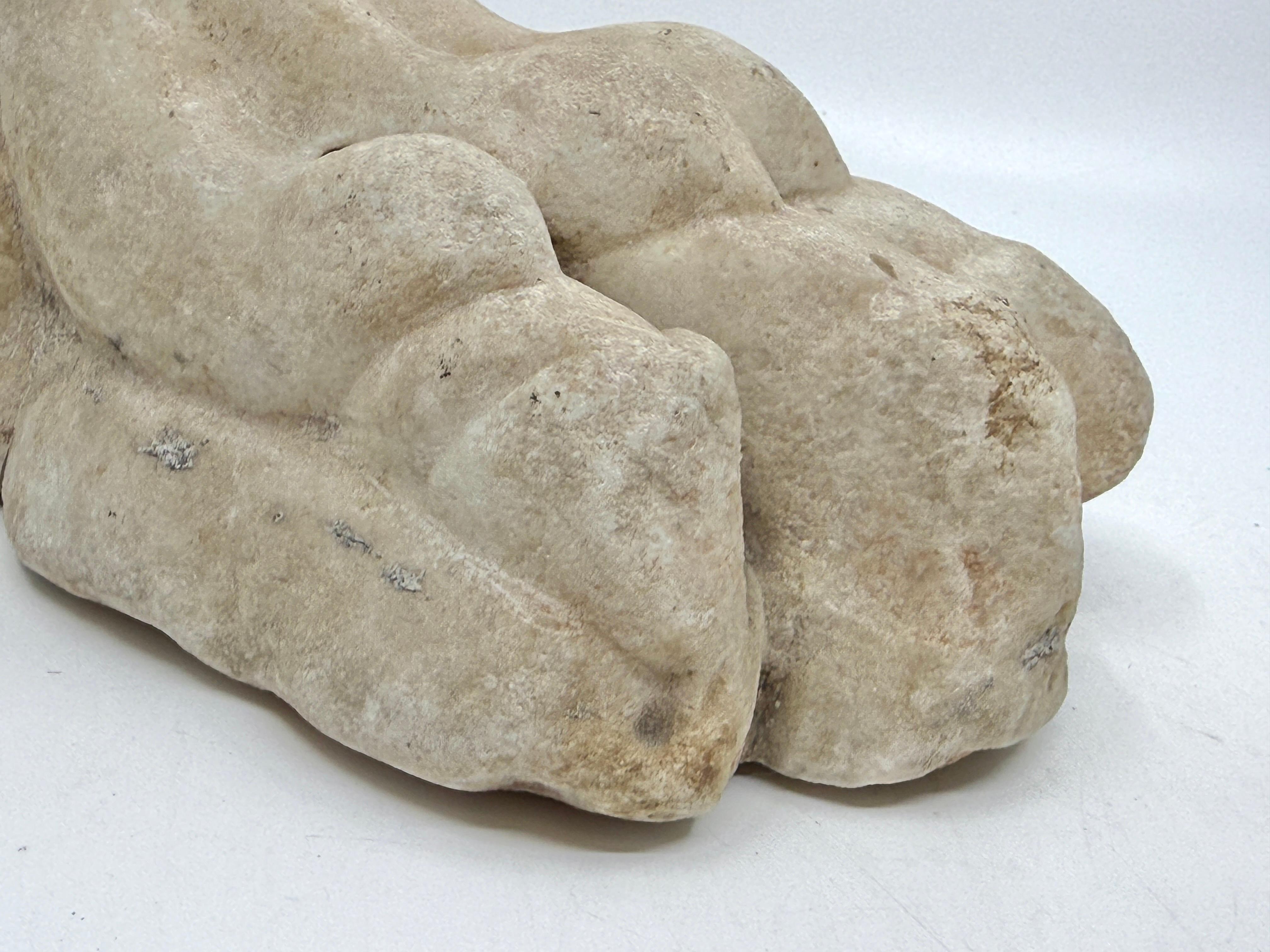 Classical Marble Stone Fragment Lions Claw in vendita 1