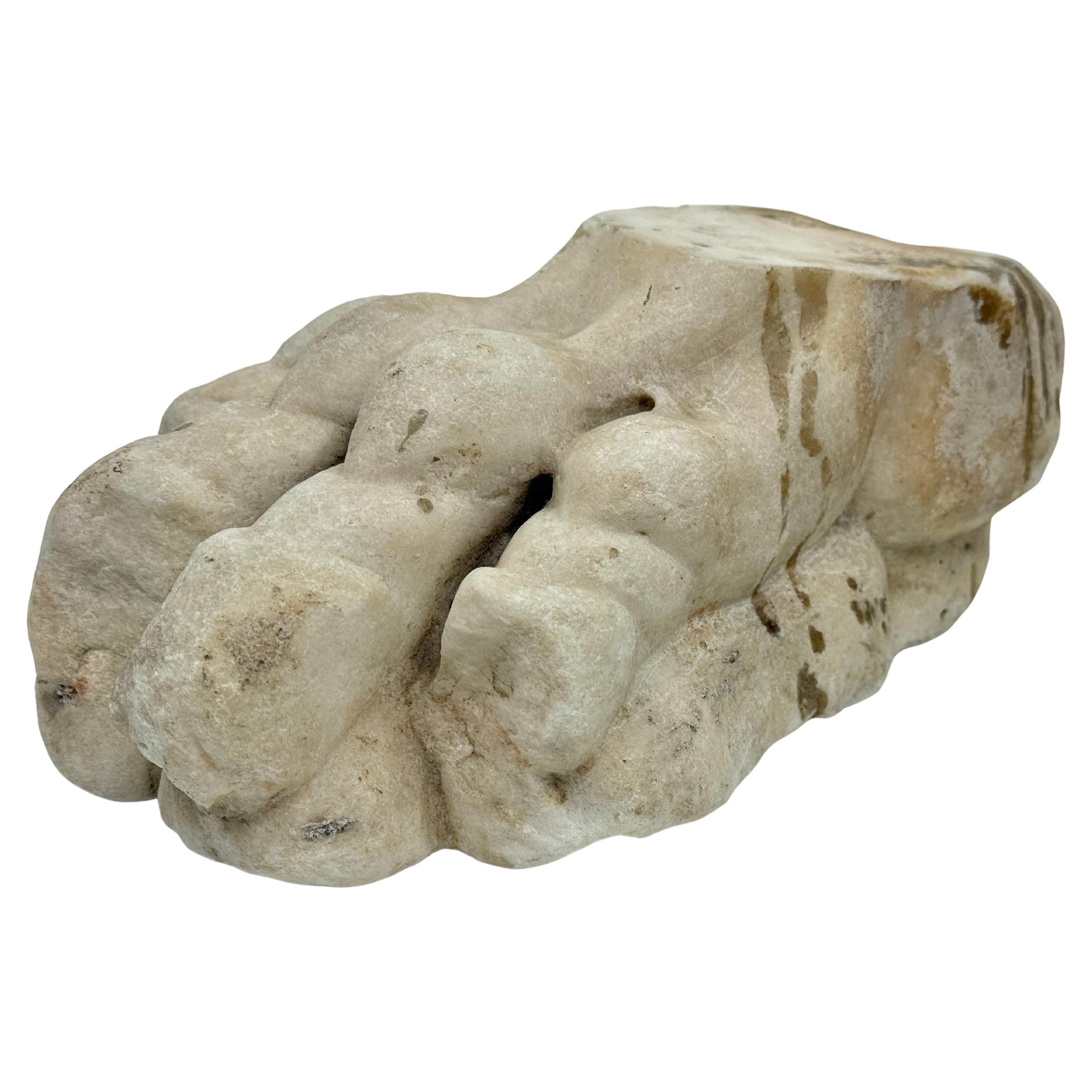 Classical Marble Stone Fragment Lions Claw in vendita