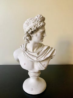 Classical Plaster Bust of Mythological Apollo Belvedere Sculpture