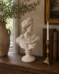 Classical Plaster Bust of Mythological Apollo Belvedere Sculpture