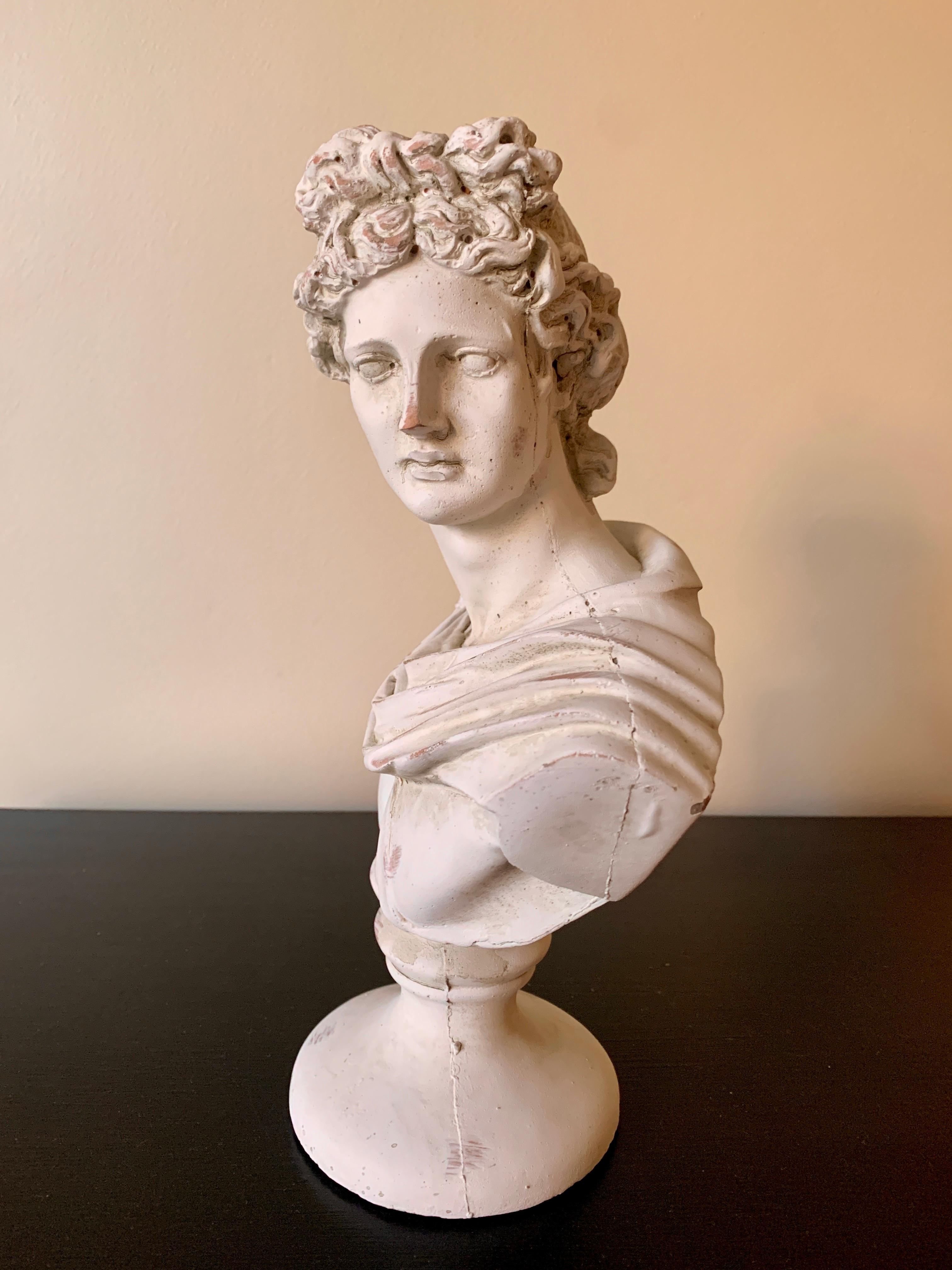 Classical Plaster Bust of Mythological Apollo Belvedere Sculpture In Good Condition For Sale In Elkhart, IN