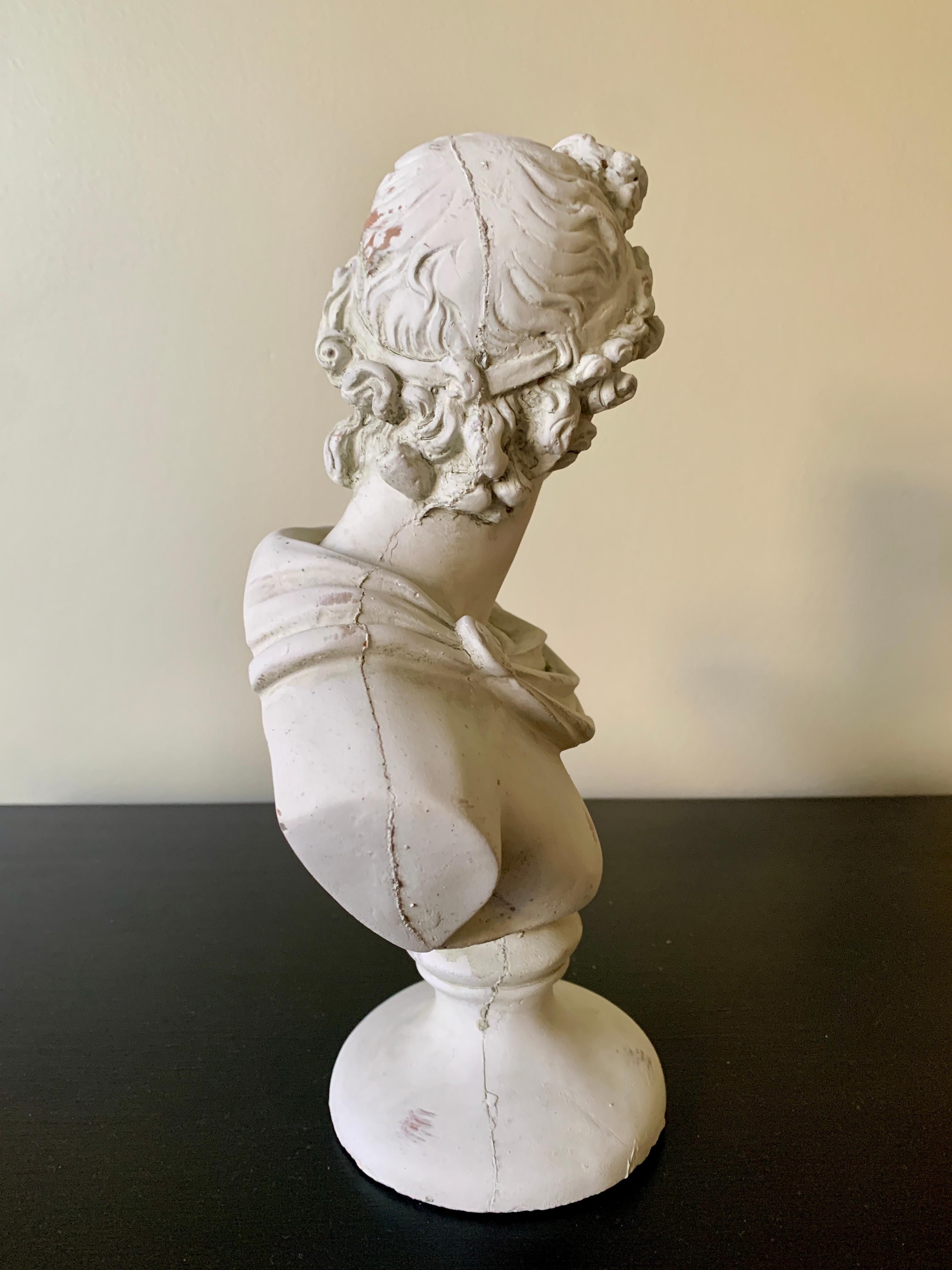 Classical Plaster Bust of Mythological Apollo Belvedere Sculpture For Sale 1