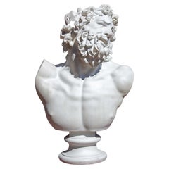 Classical Renaissance Bust of a Man