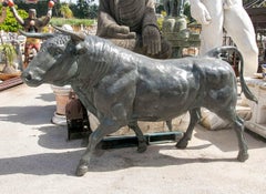 Classical Style Large life-size Patinated Bronze Bull Sculpture