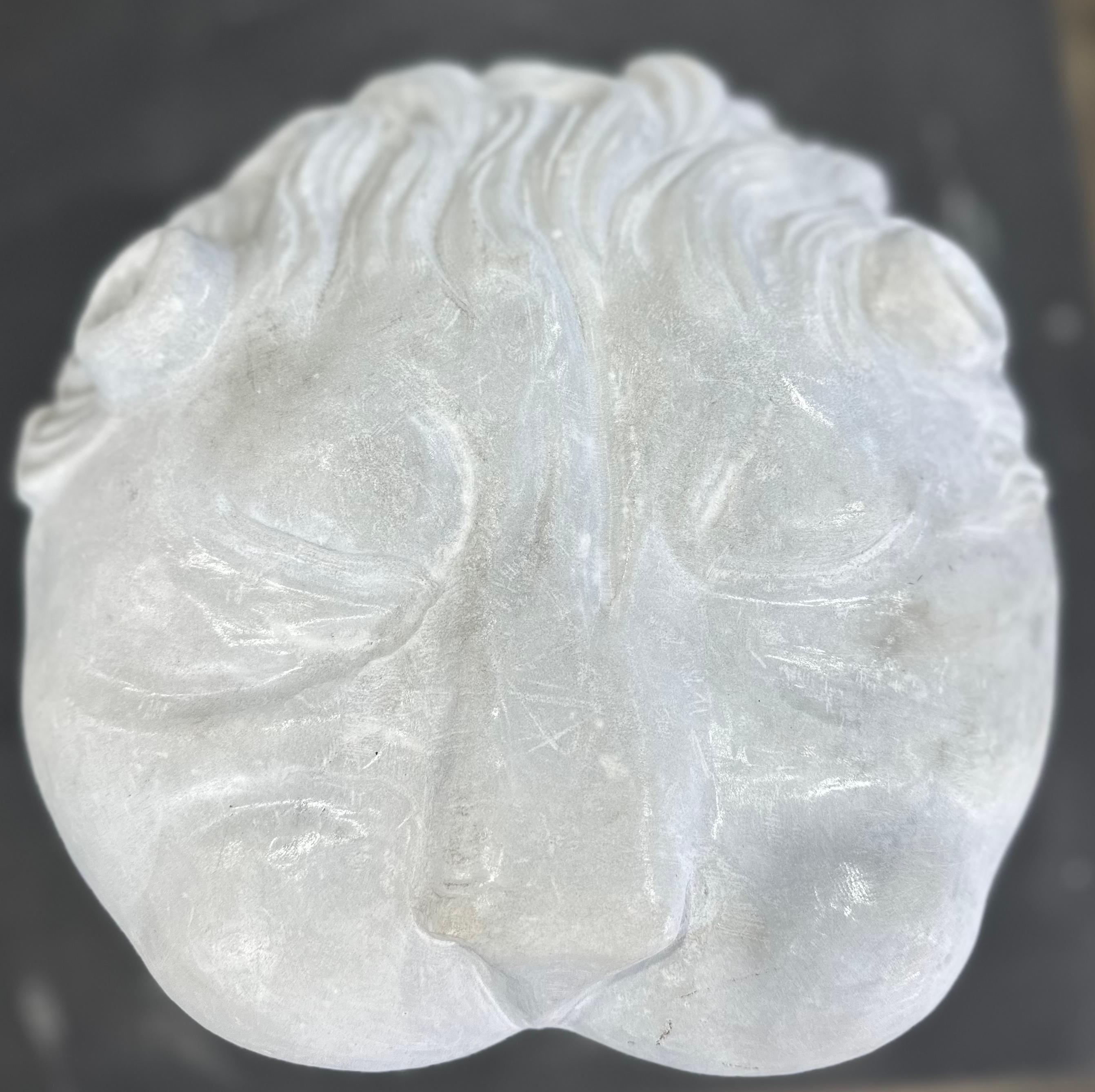 19th Century Classical Style Marble Head For Sale
