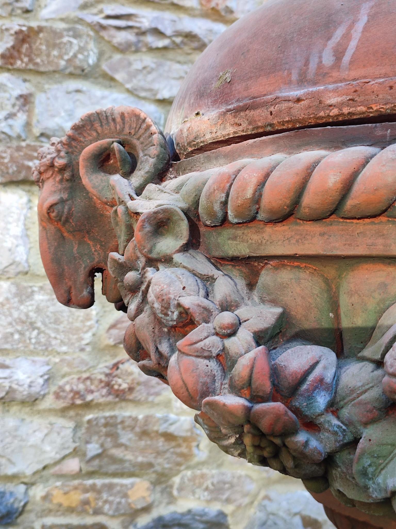 Classical Terracotta Garden Urn Regency Rams Head Planter In Good Condition For Sale In Potters Bar, GB