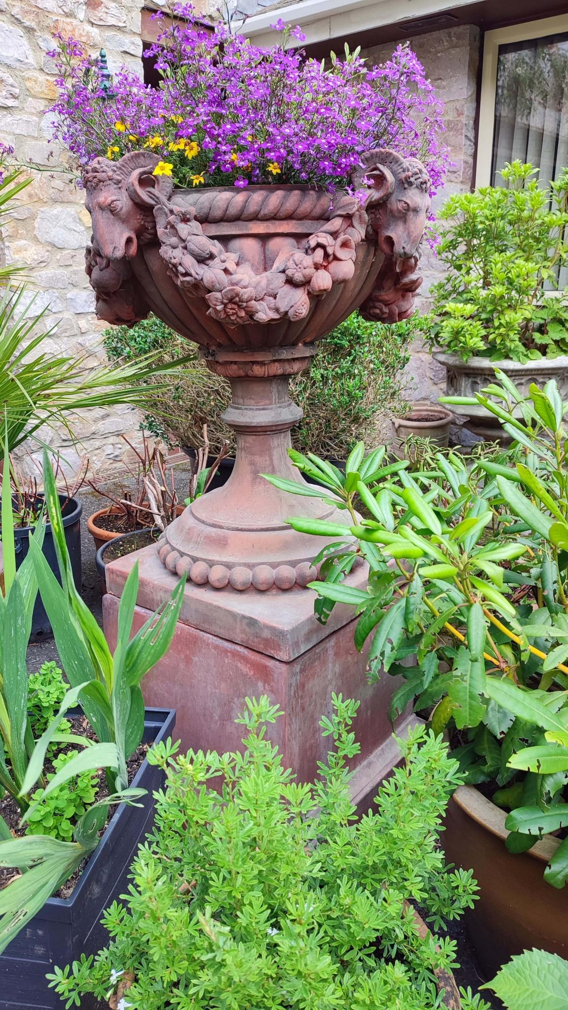 Classical Terracotta Garden Urn Regency Rams Head Planter For Sale 1