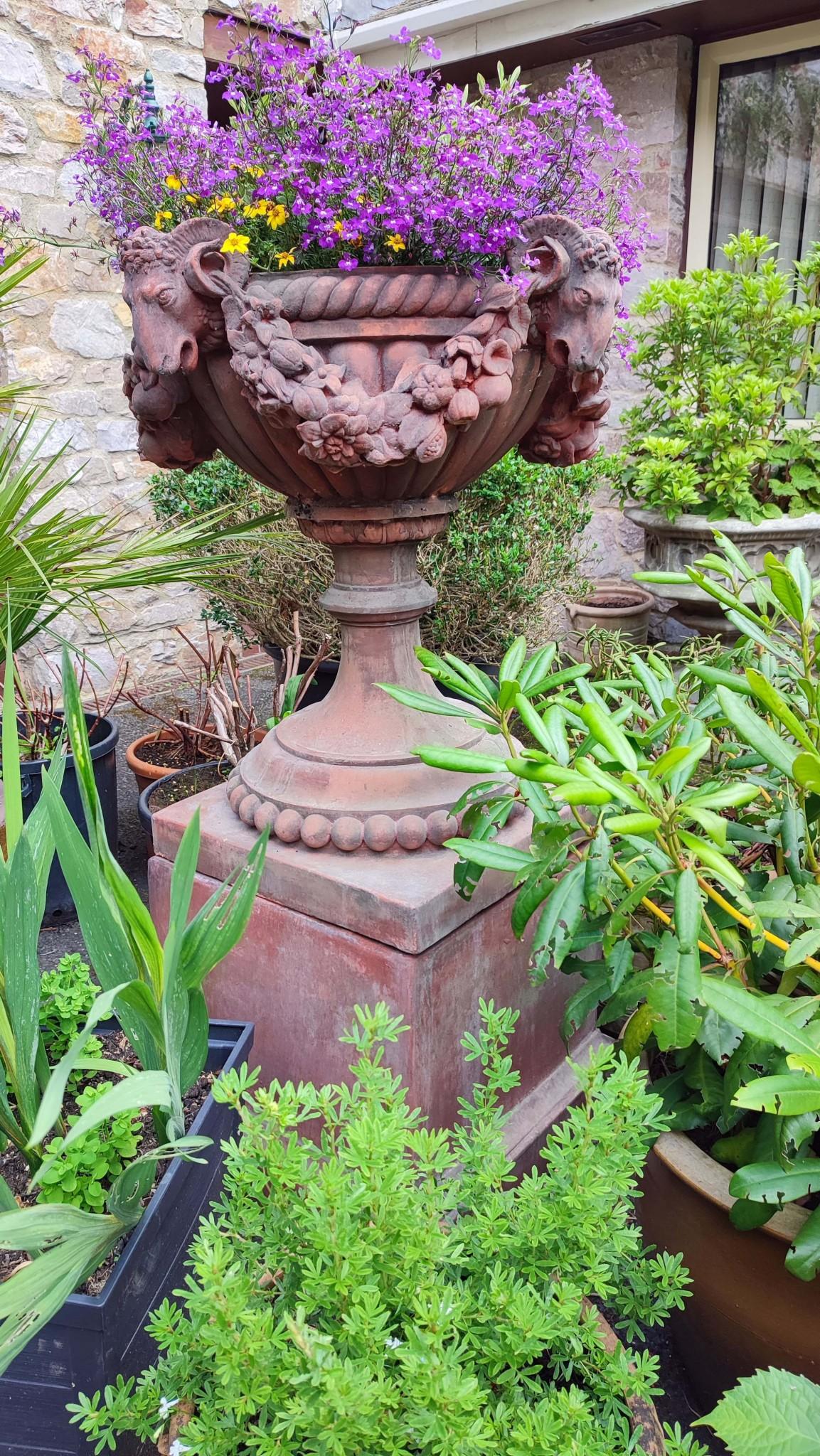 Terracotta Urna da giardino classica in terracotta Regency Rams Head Planter in vendita