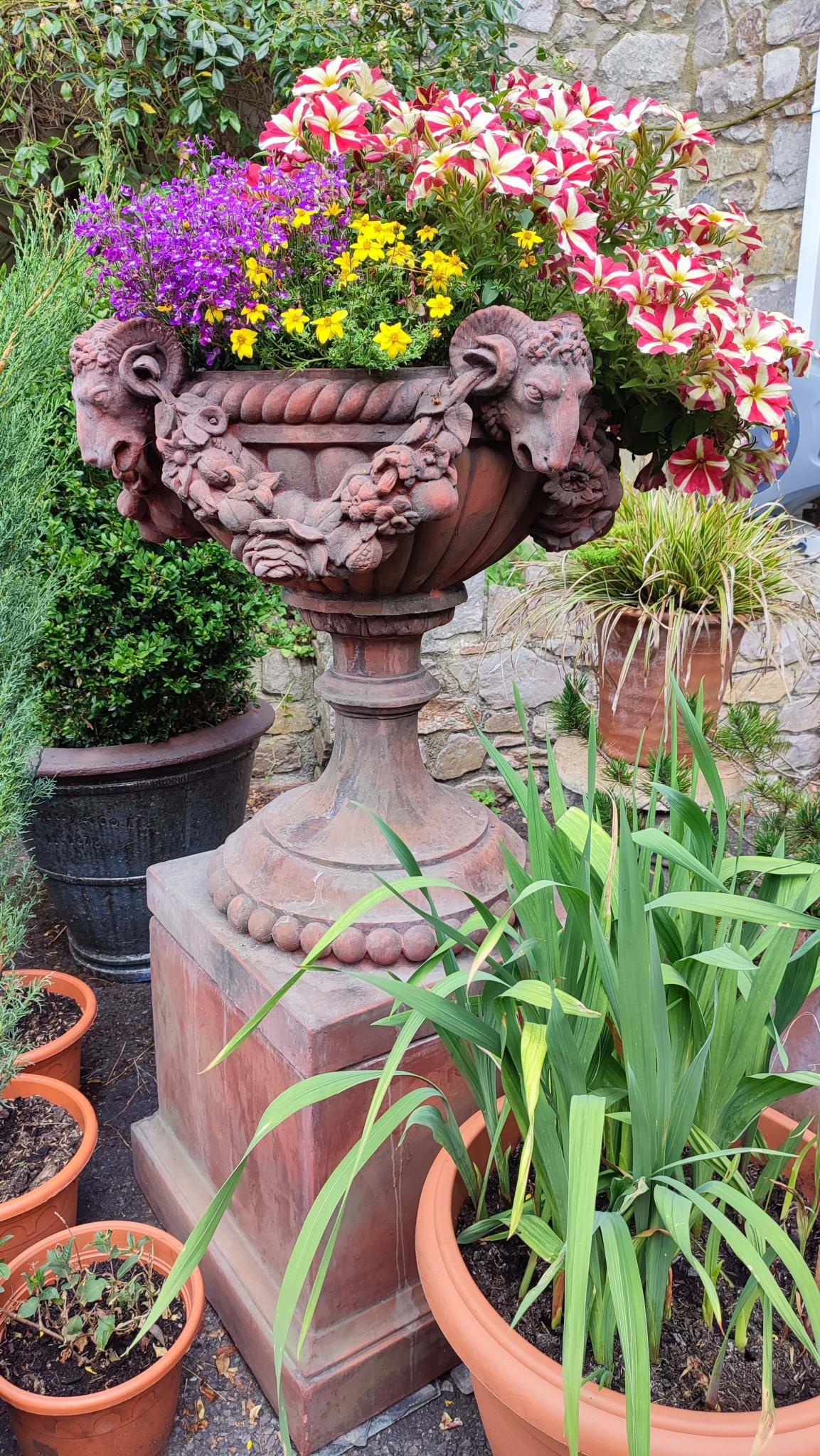 Classical Terracotta Garden Urn Regency Rams Head Planter For Sale