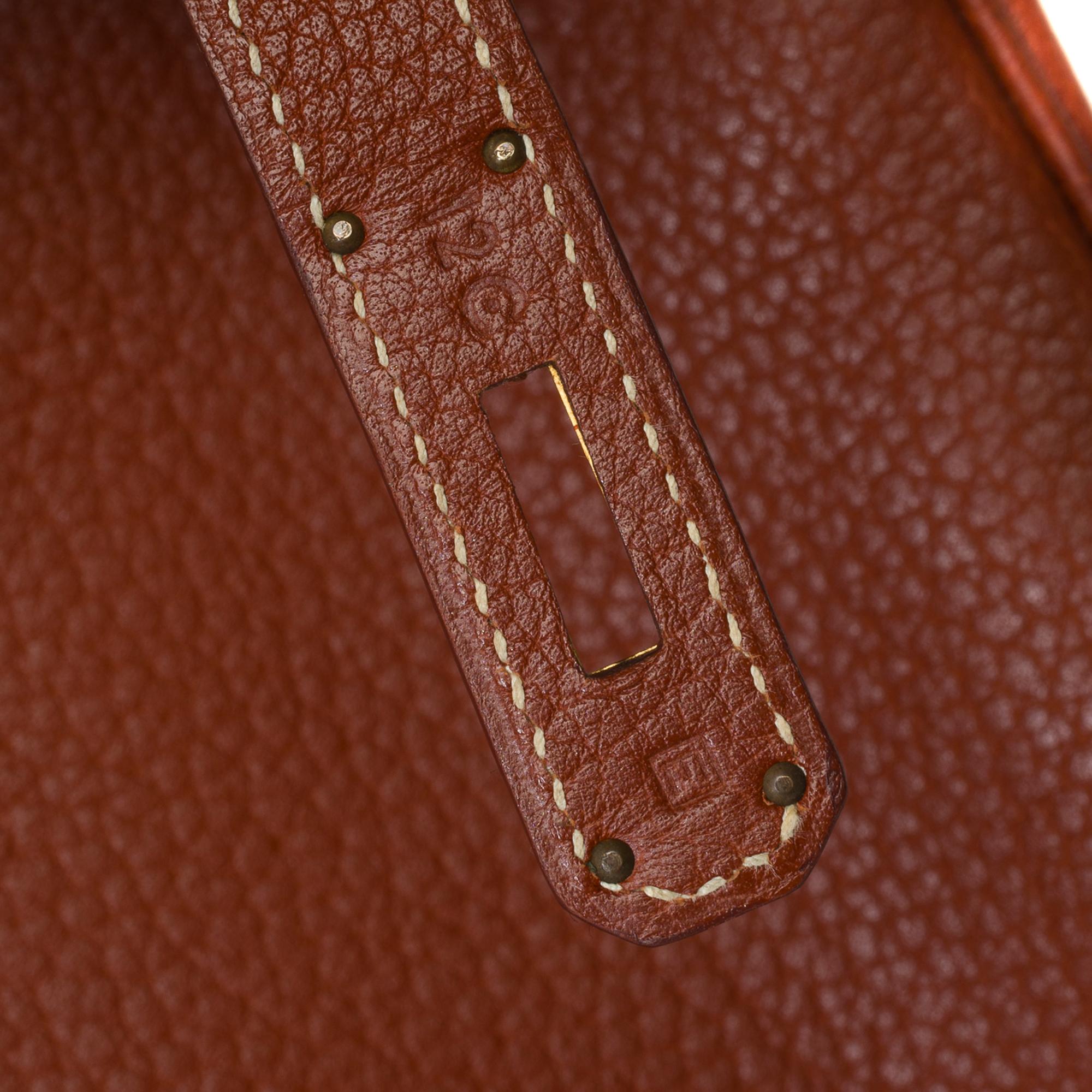 Classy & Rare Hermes Birkin 40 handbag in Brick Fjord leather, GHW 4