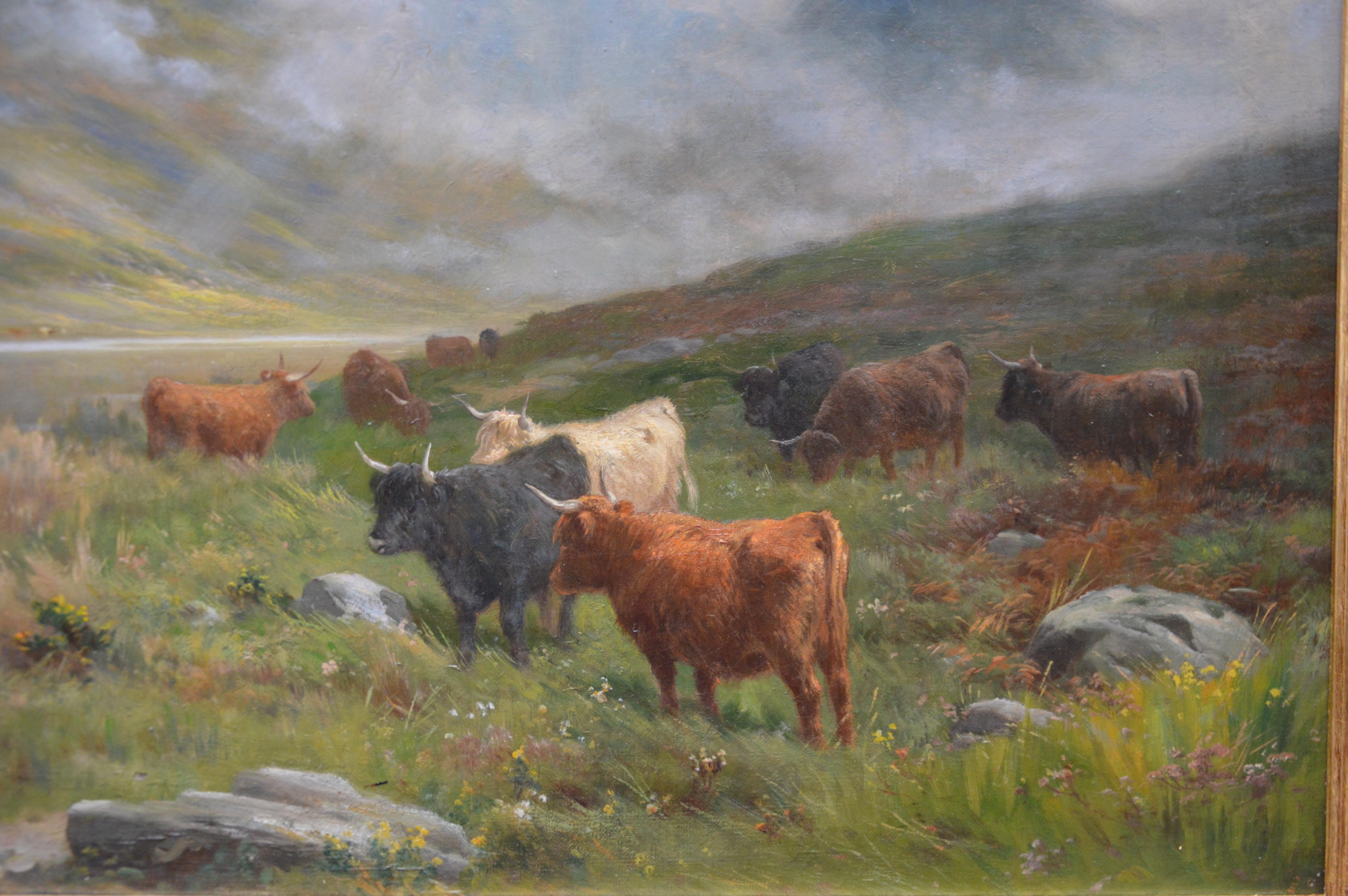 highland cattle oil painting