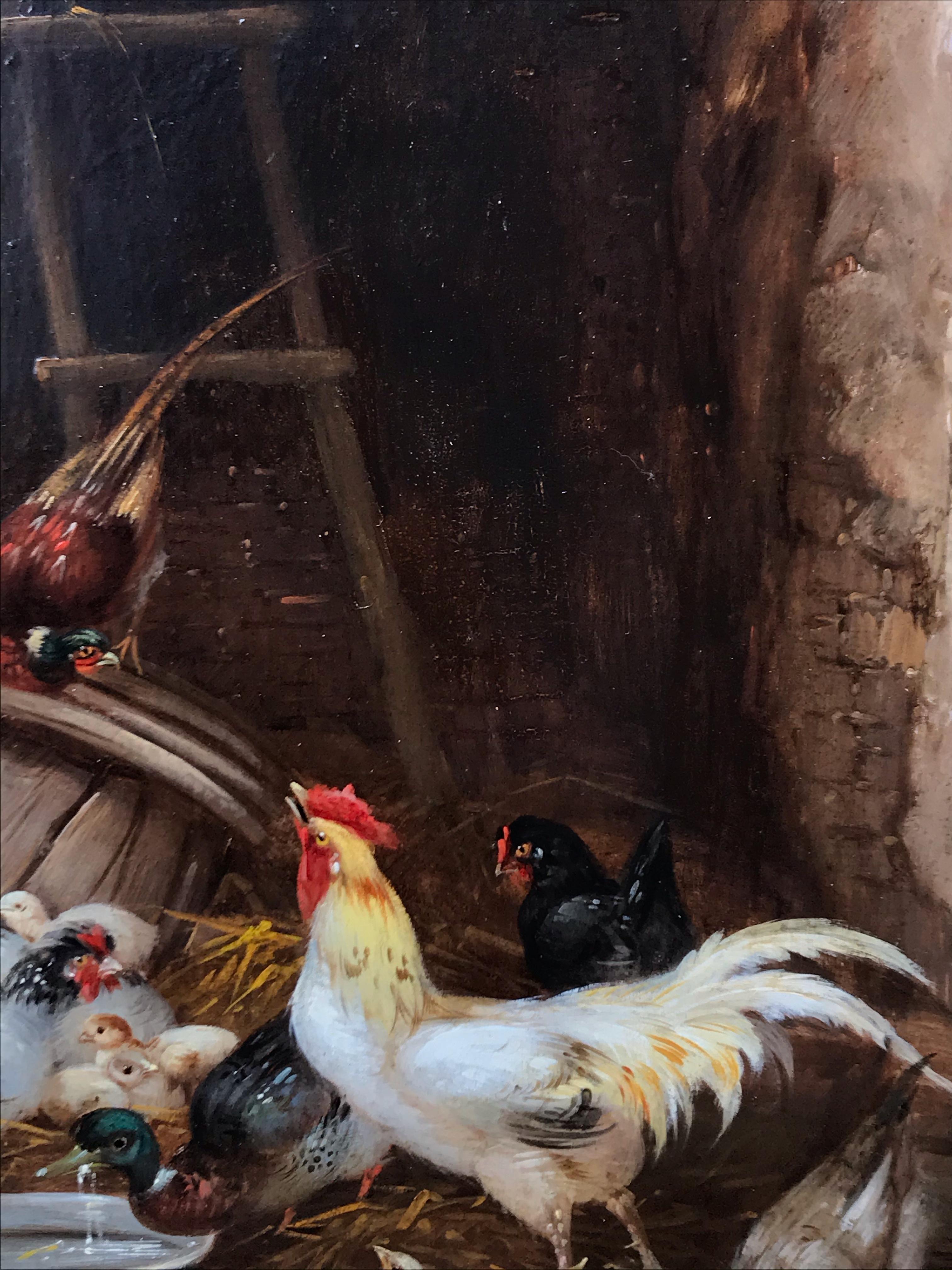 Les poules dans la basse-cour en couple 8