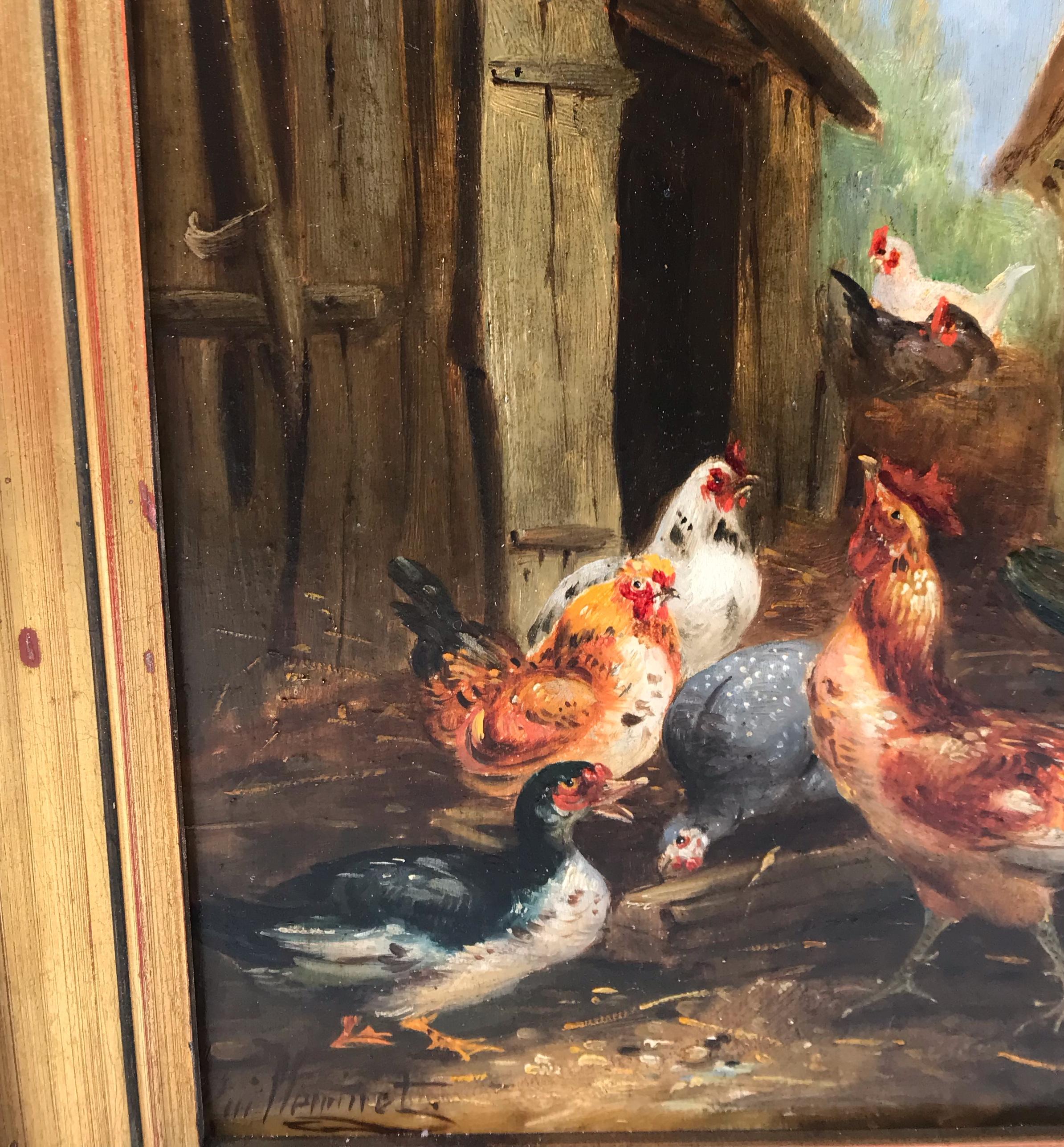 Gallinas en el corral en pareja en venta 2