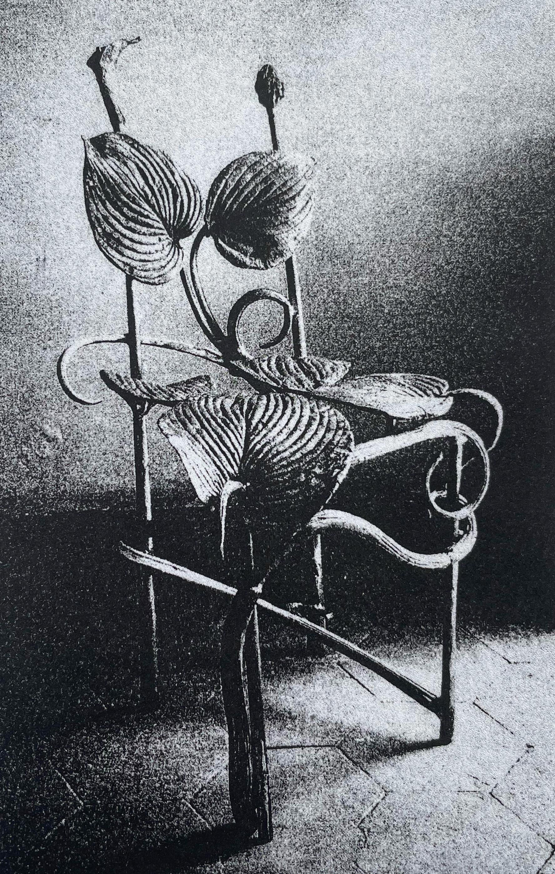 Claude Lalanne (1925-2019), Chaise Horta, gravure à l'héliogravure sur papier 
 
Cette estampe originale de Claude Lalanne est issue d'une édition rare et non signée de 350 exemplaires. Elle représente la célèbre chaise Horta, l'un des plus beaux