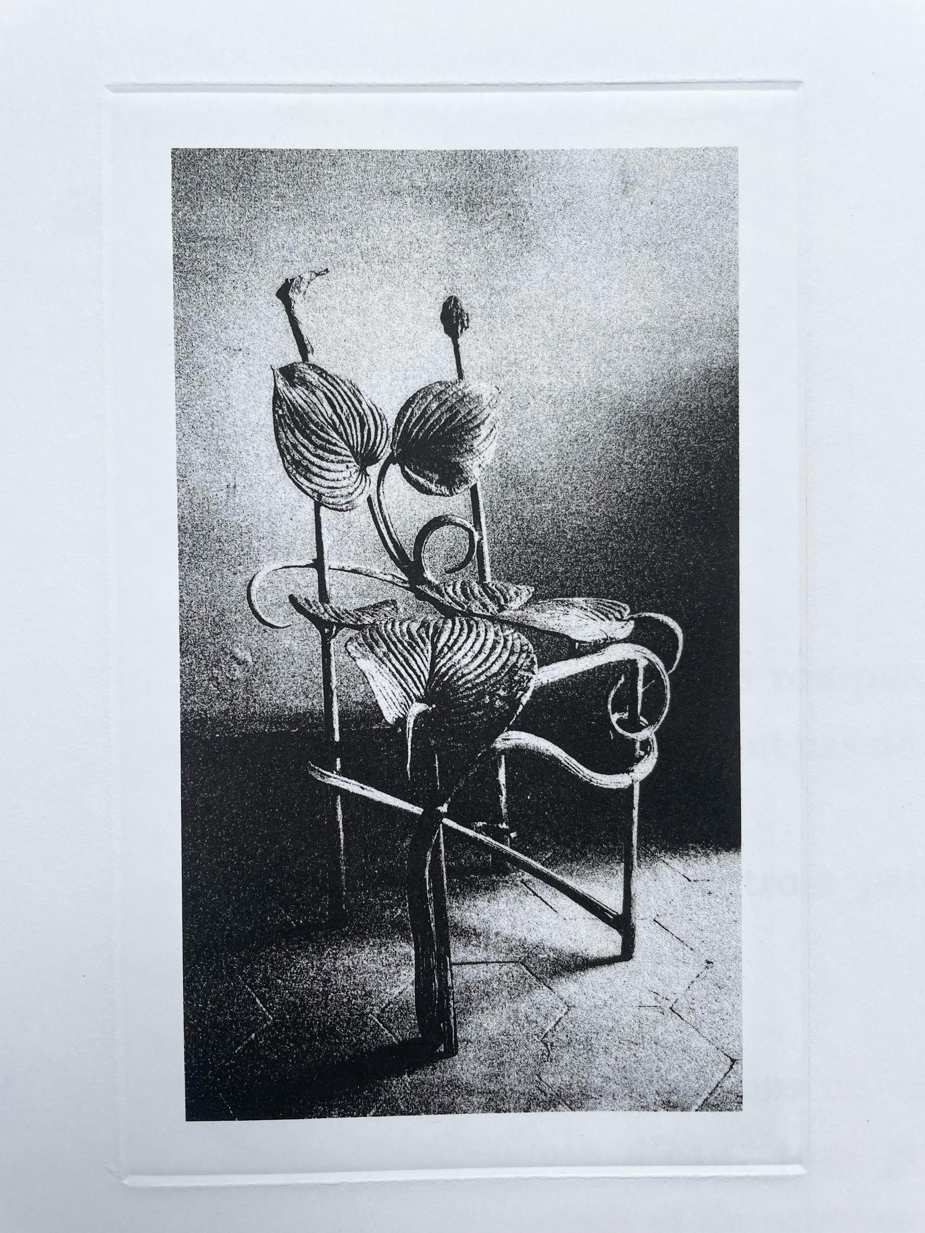 Postmoderne Claude Lalanne (1925-2019), Chaise Horta, gravure à l'héliogravure sur papier en vente